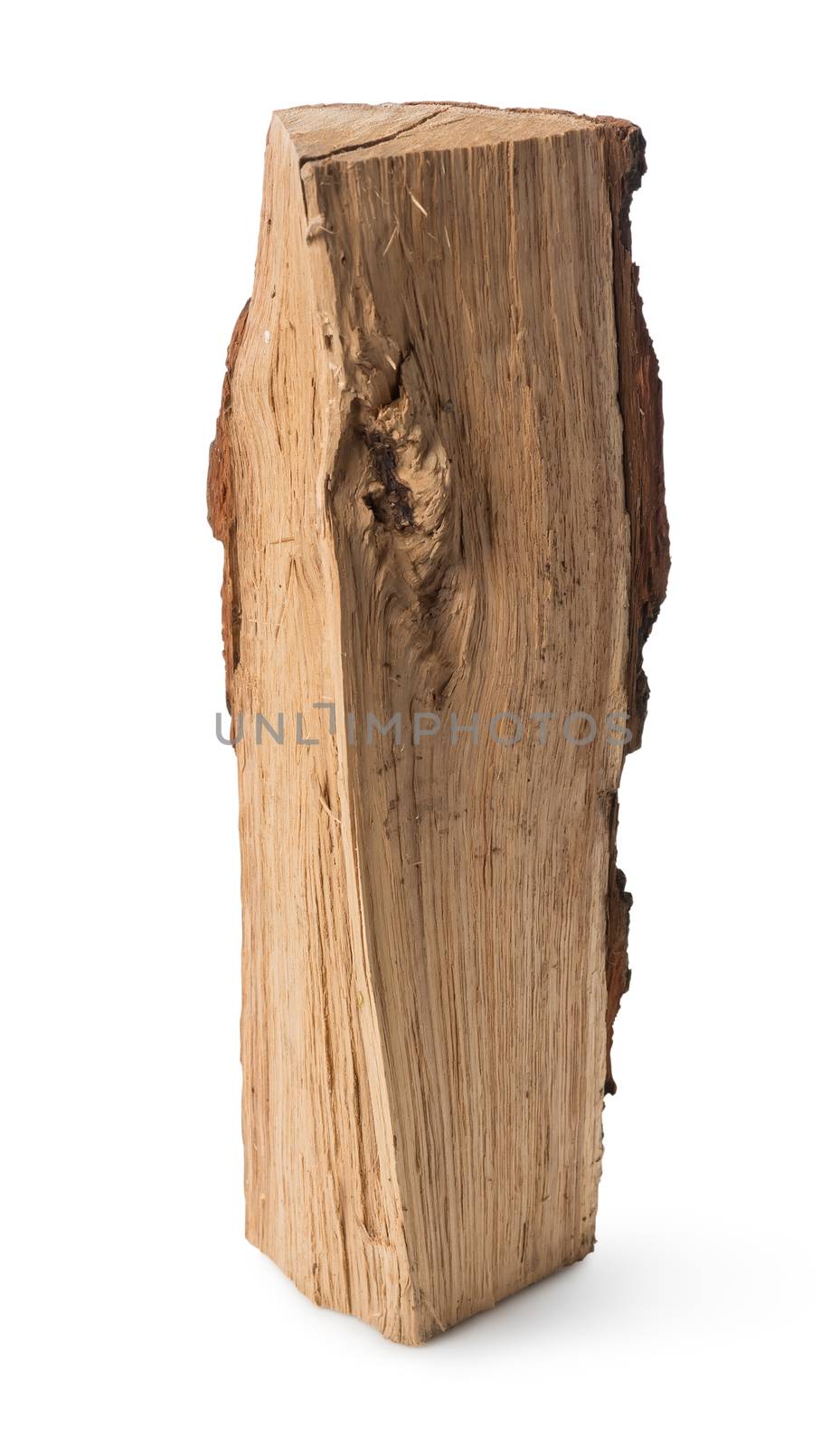 Standing stump isolated on a white background