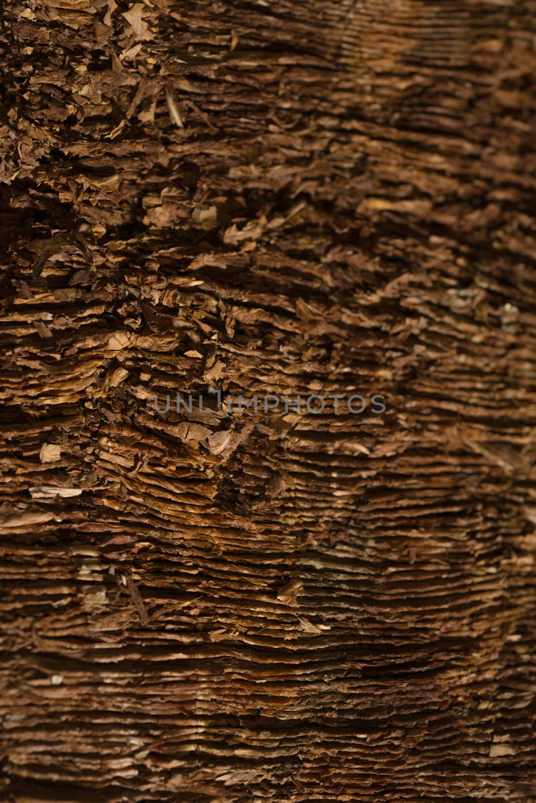 Fine cut tobacco background detail inside a cigarette production machine