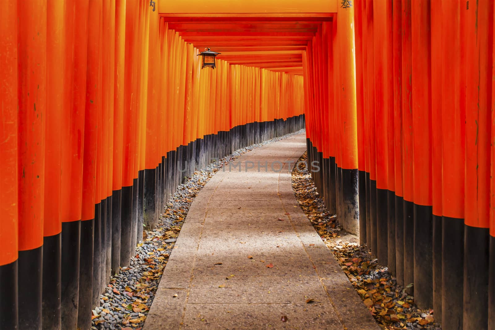 Fushimi Inari shrine in Kyoto, Japan. by kawing921