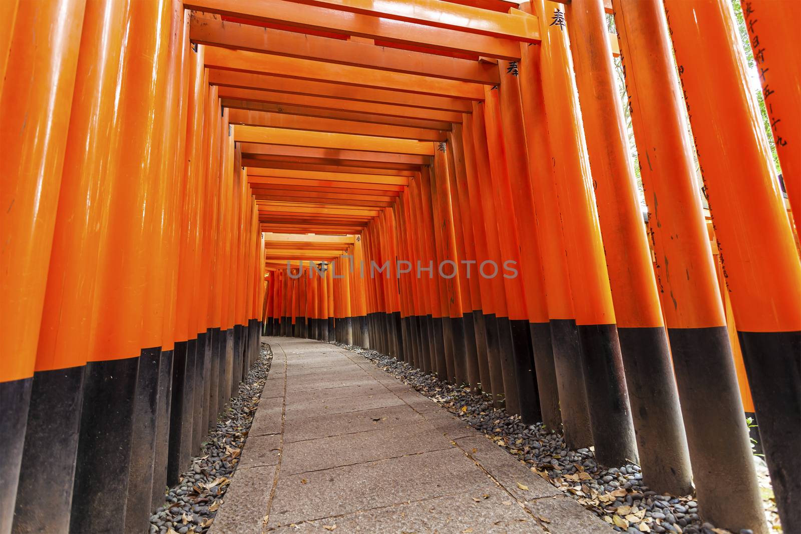 Fushimi Inari shrine in Kyoto, Japan. by kawing921