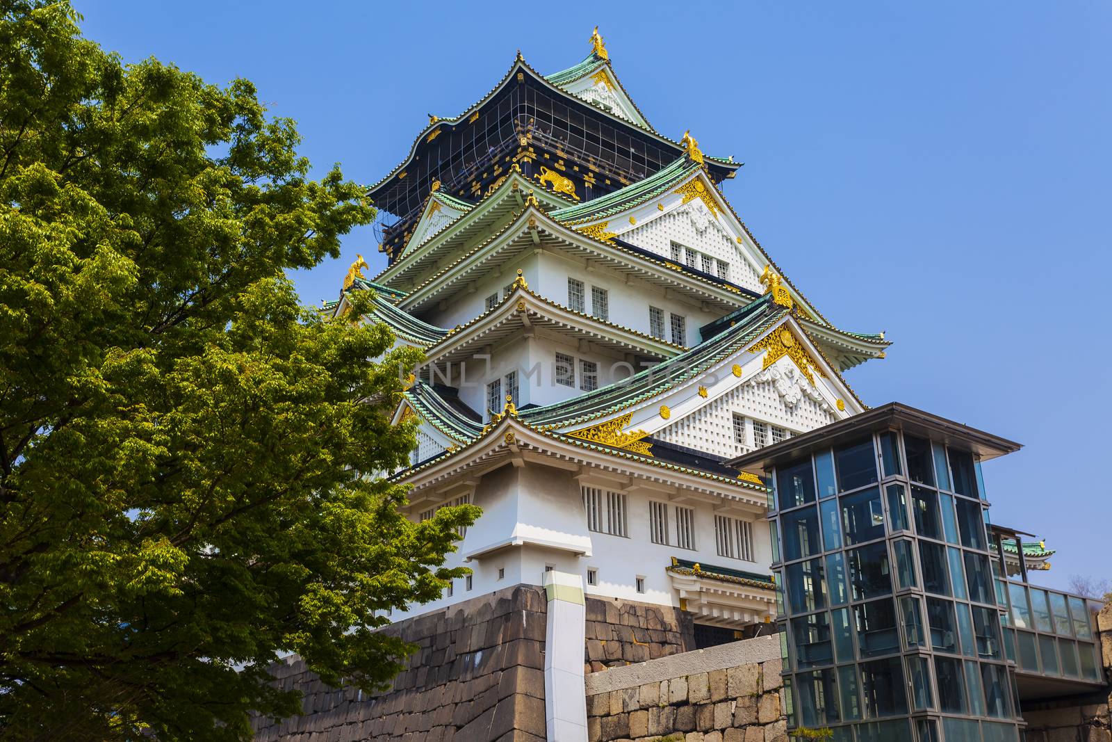 Osaka Castle view at Japan