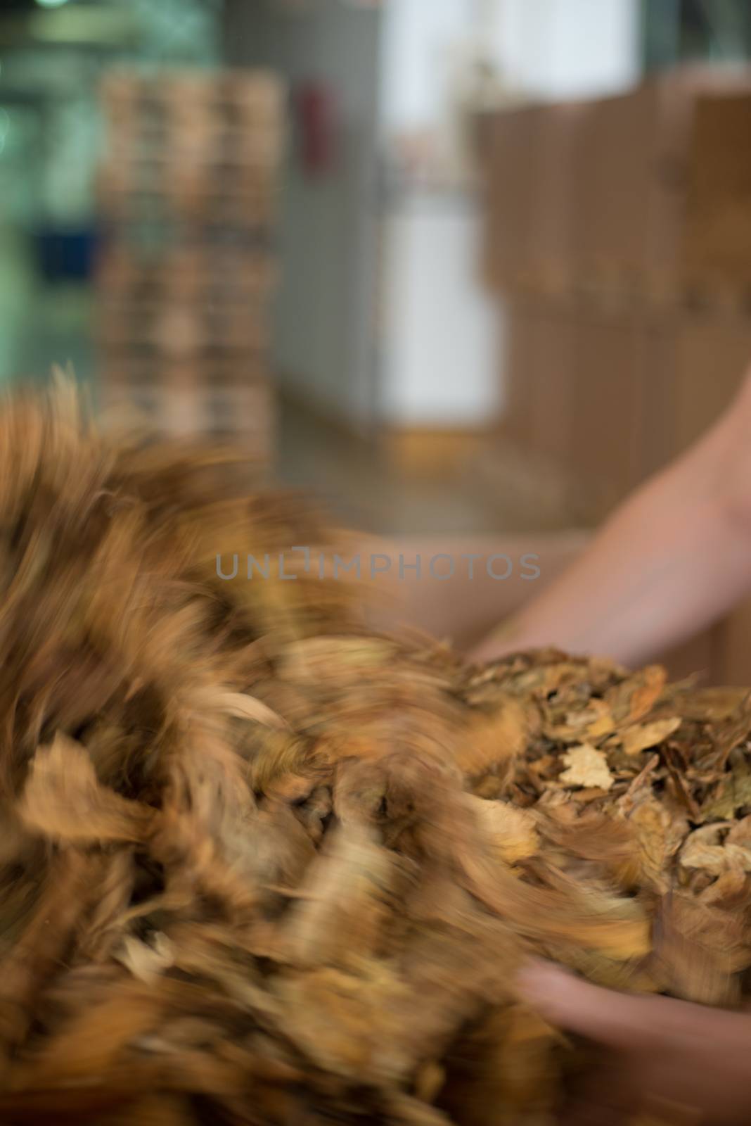 Bulk tobacco getting ready in a cigarette factory, blurred motion