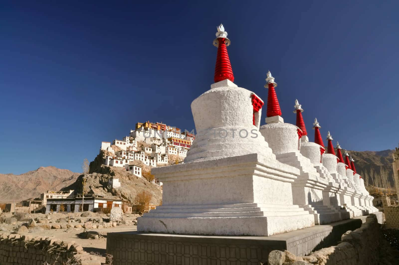 Scenic view of the sunlit Thiksey monastery complex in Ladakh, India 