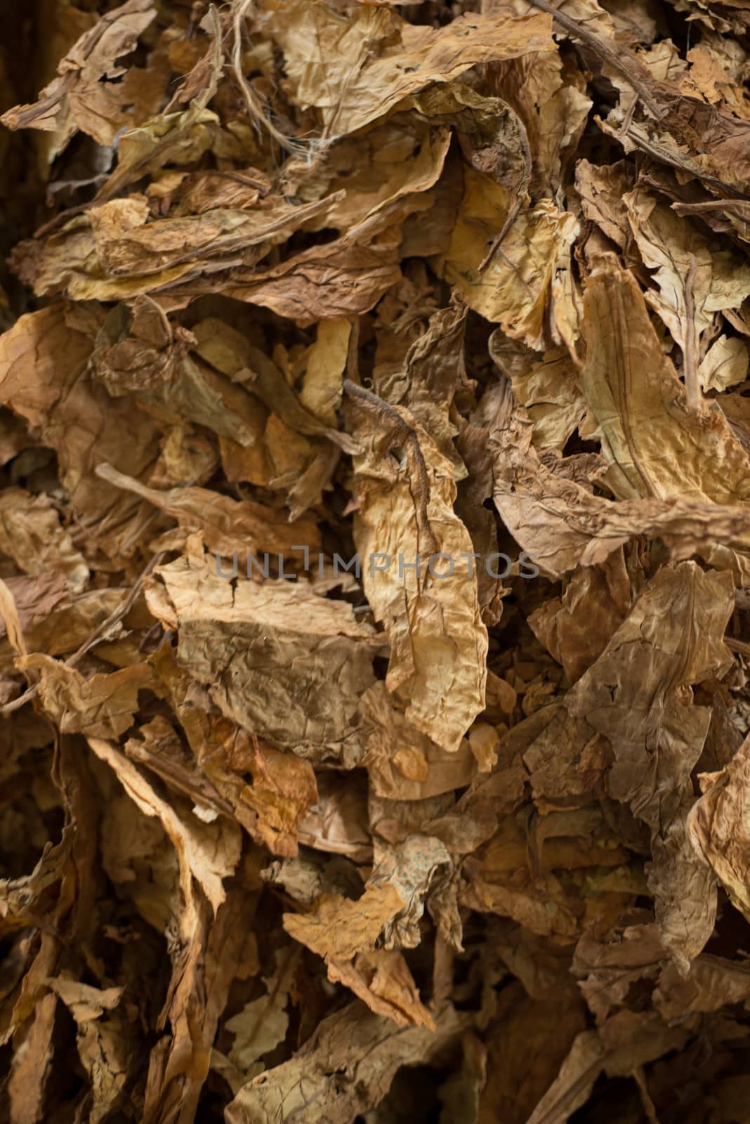 Bulk tobacco being mixed in a cigarette factory for cigarettes production