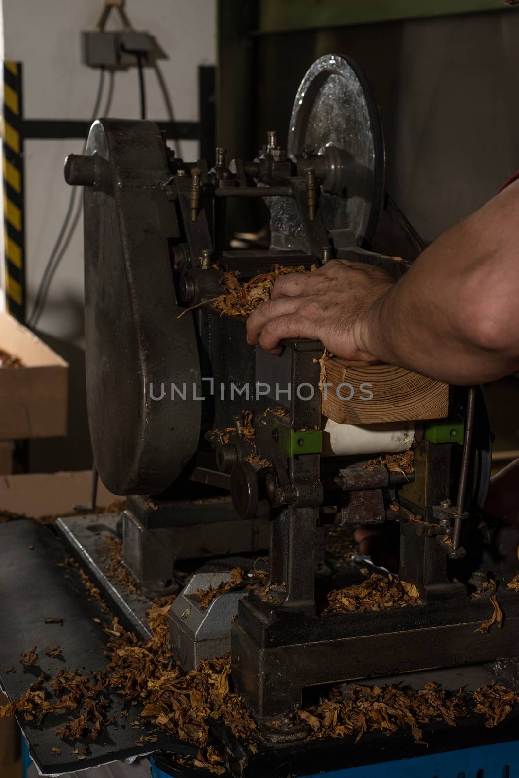 Bulk tobacco being cut manually by a factory worker