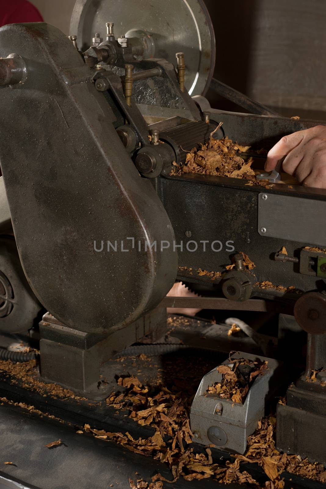 Tobacco cut in small scale machinery by a worker