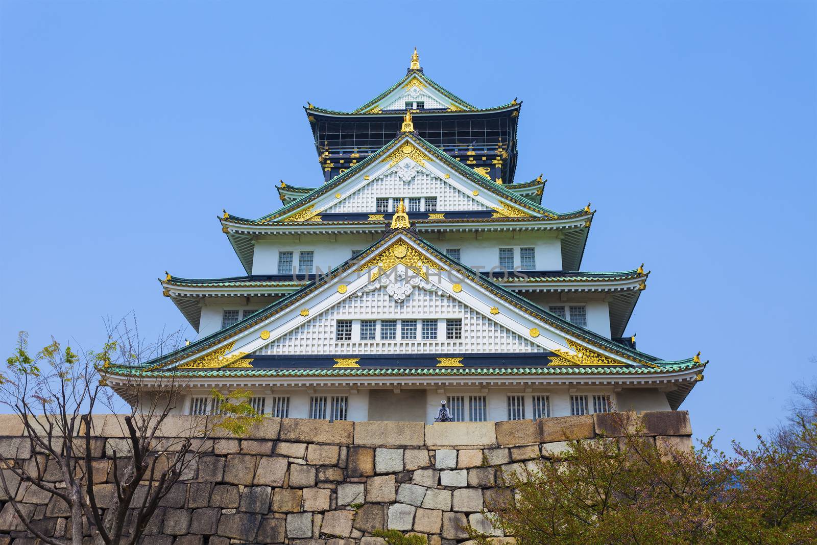 Nagoya Castle in Japan by kawing921