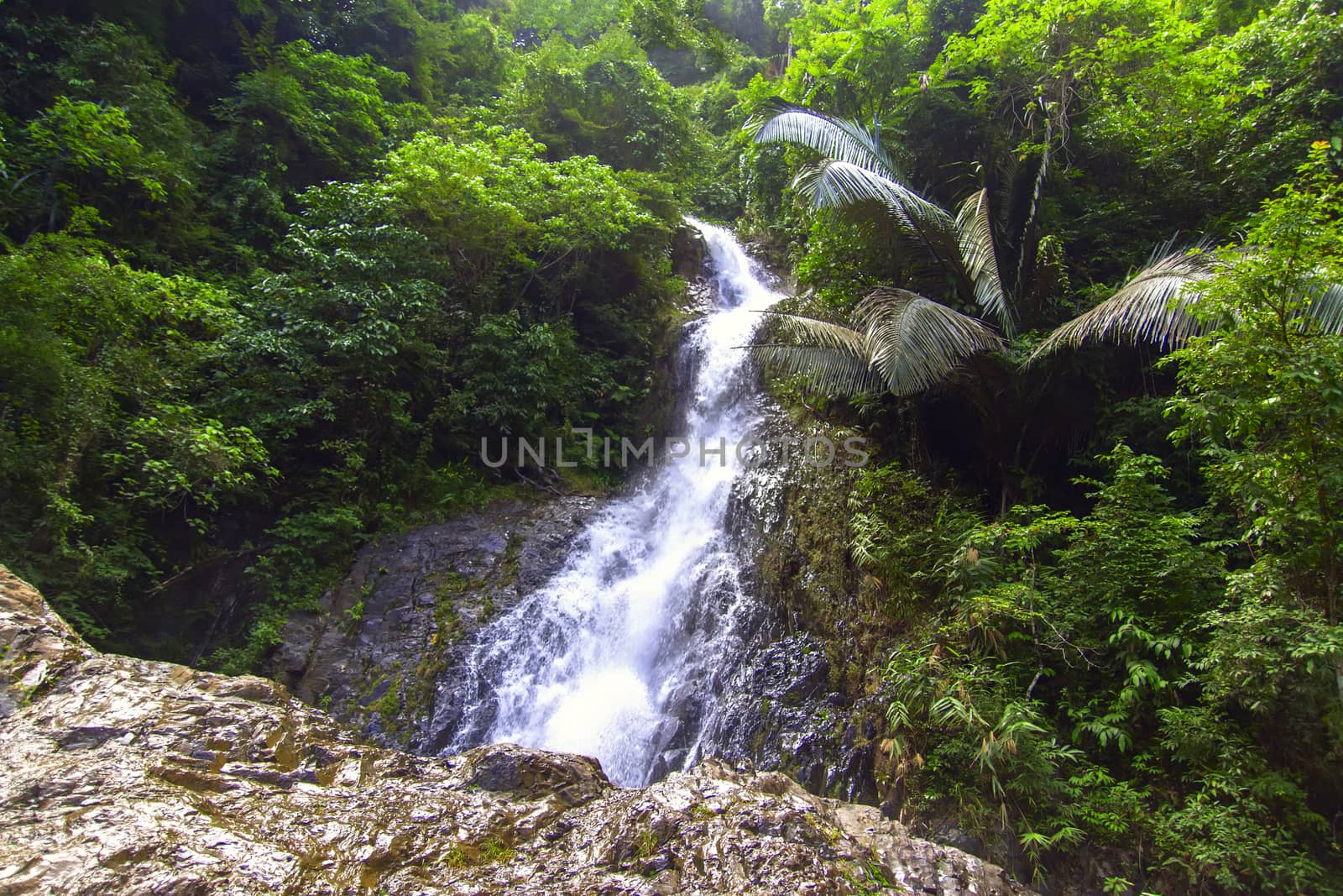 Huai To Waterfall in Jungle. Krabi Province, Thailand
