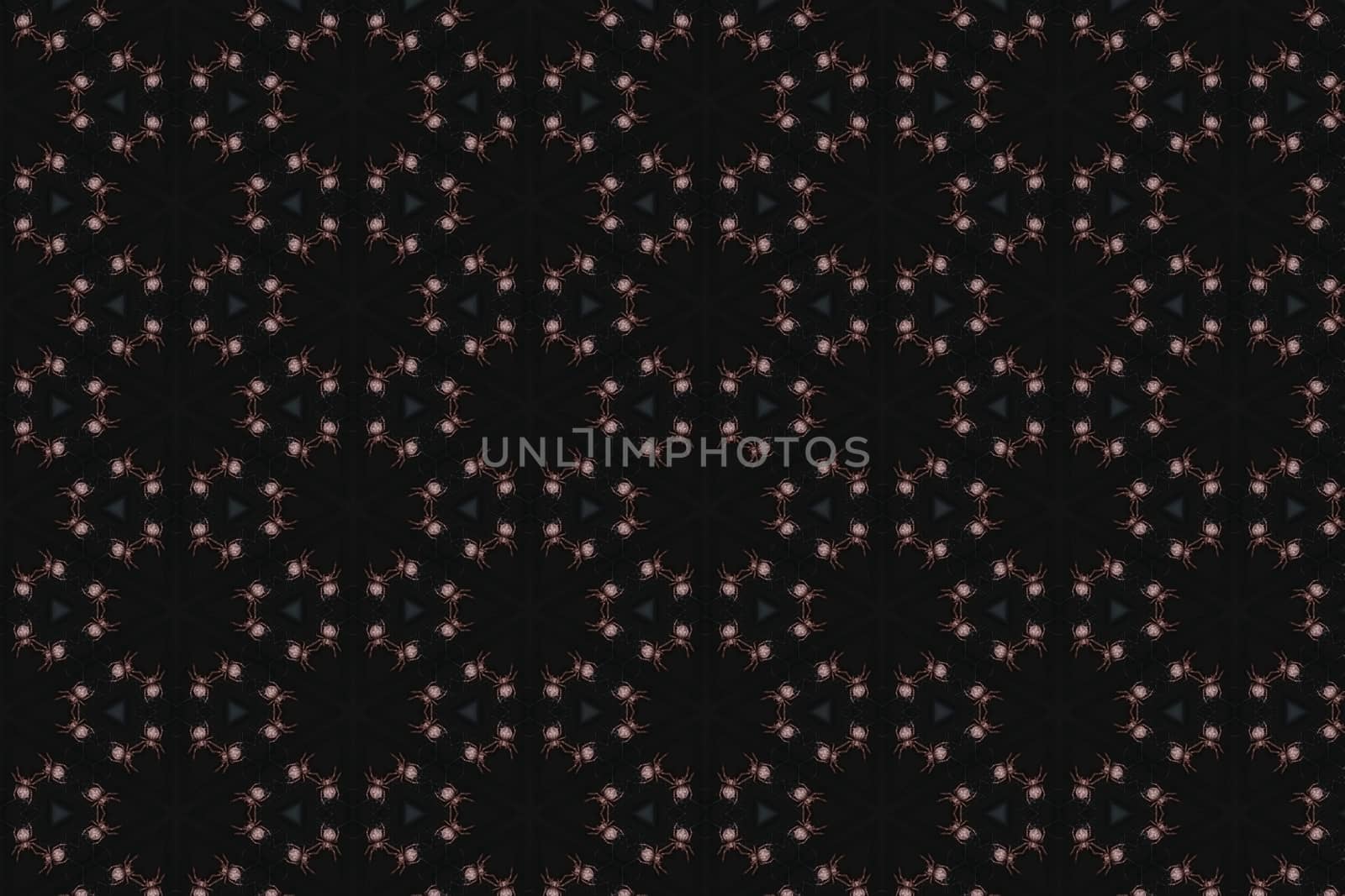 Abstract illustration of a spider on a dark background
