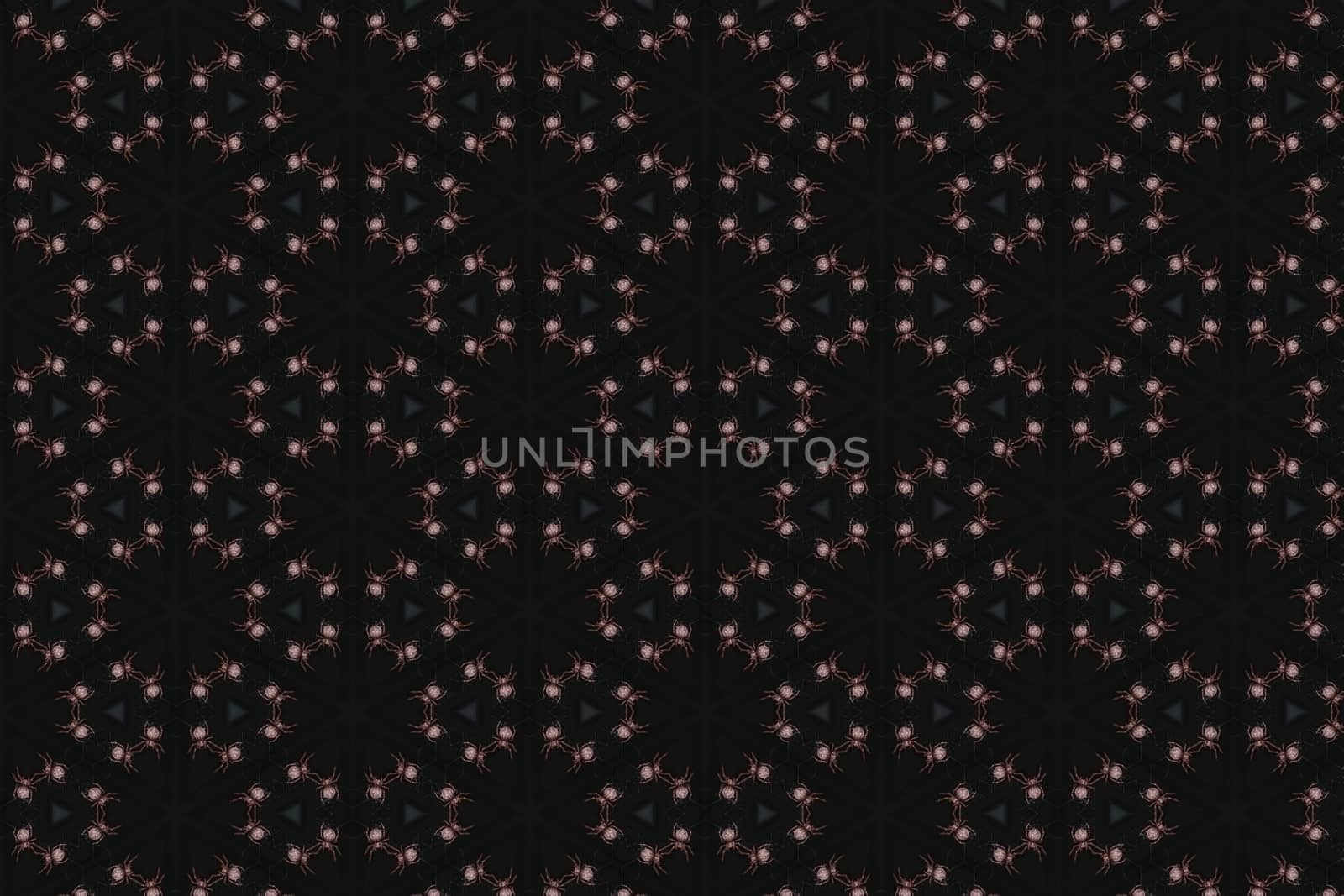 Abstract illustration of a spider on a dark background