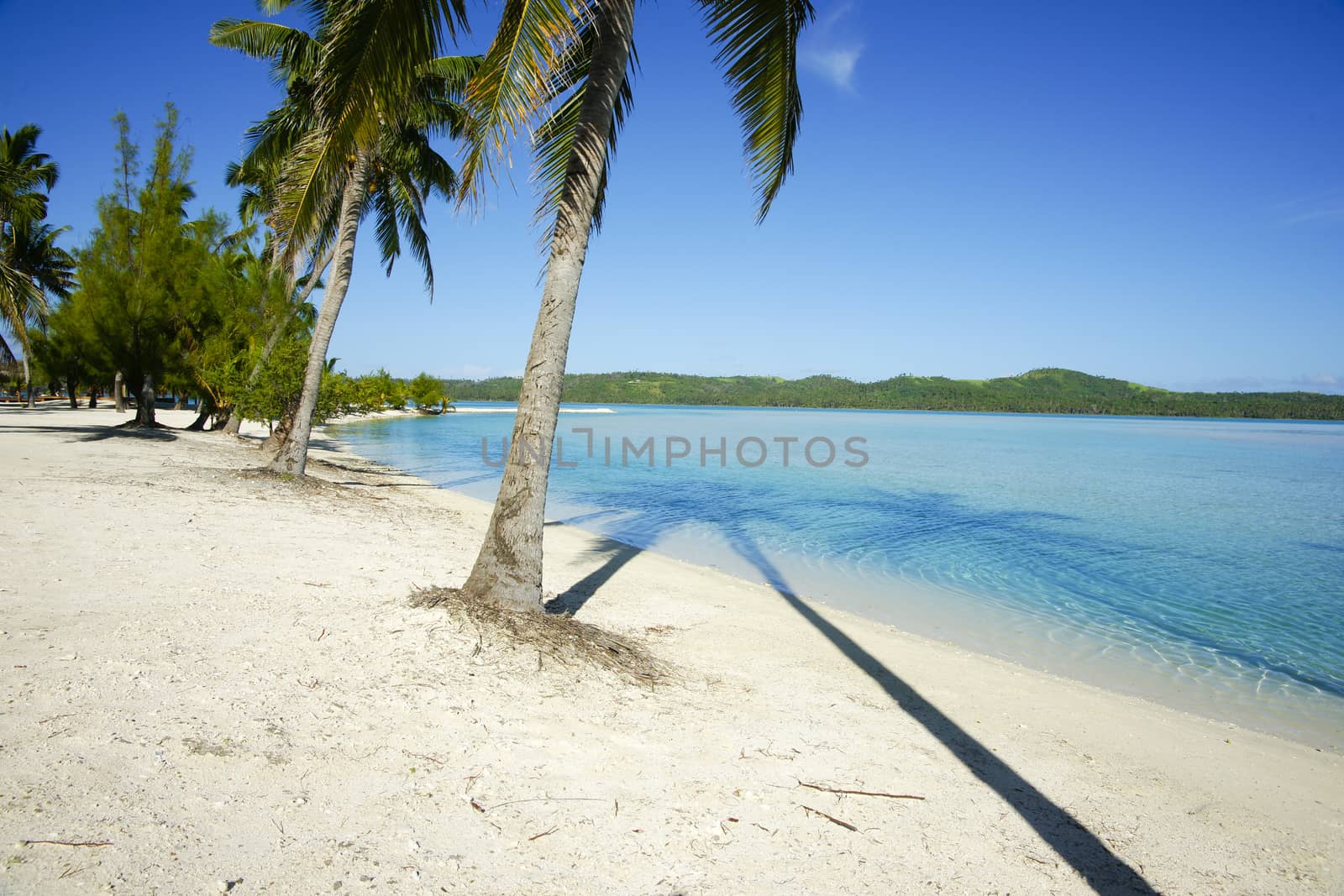 Tropical island resort, palms, sea and sand.