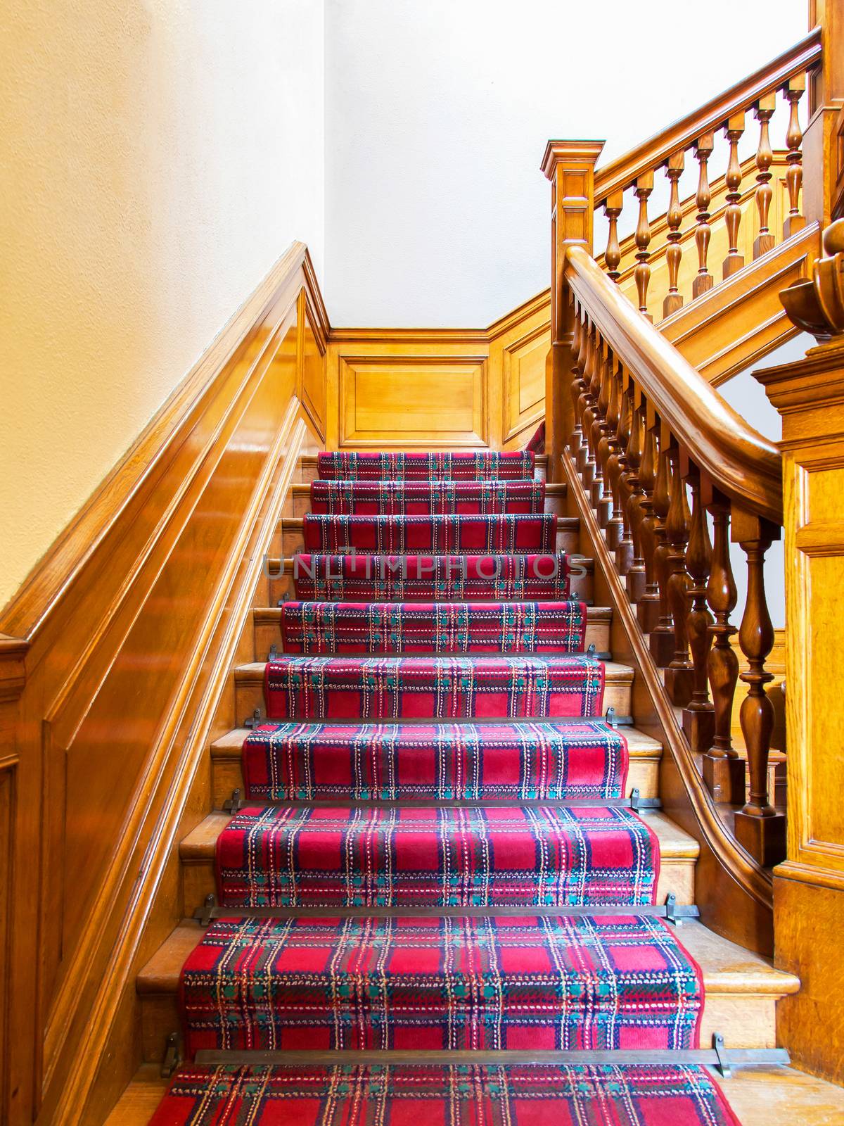 Stairs with carpet strip by michaklootwijk