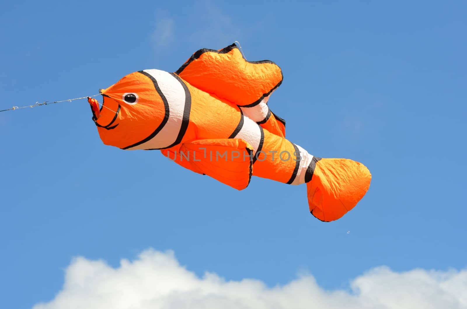 Orange fish kite