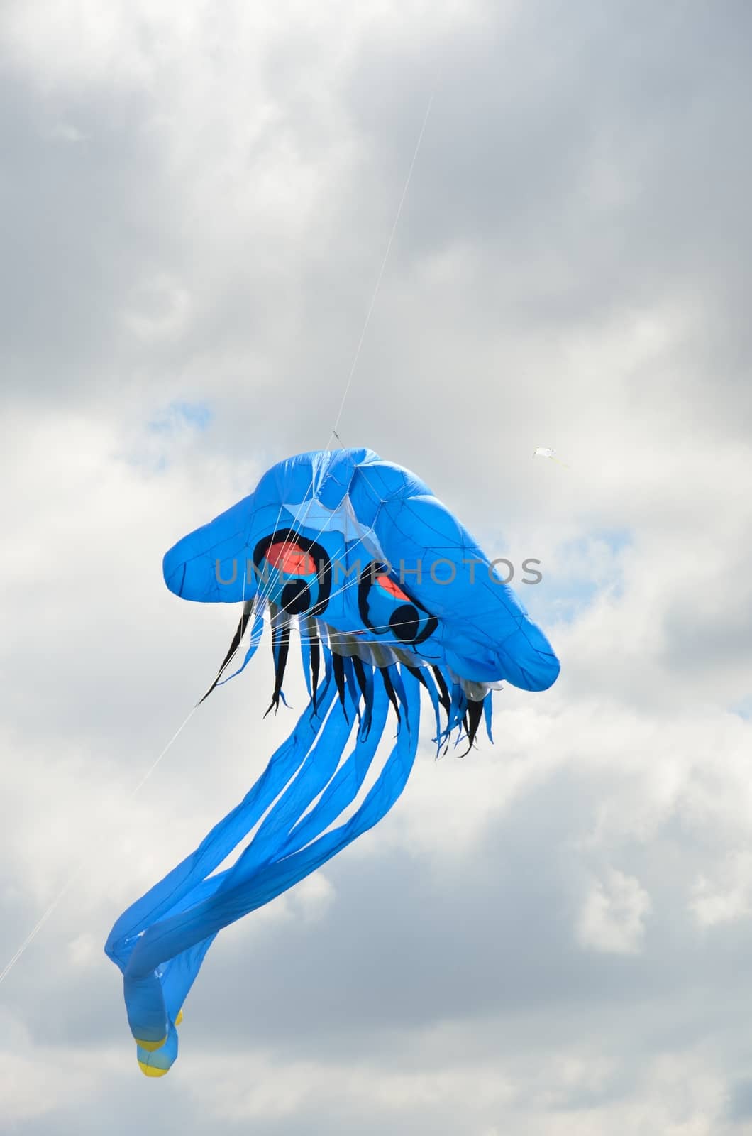 Blue Jellyfish novelty kite
