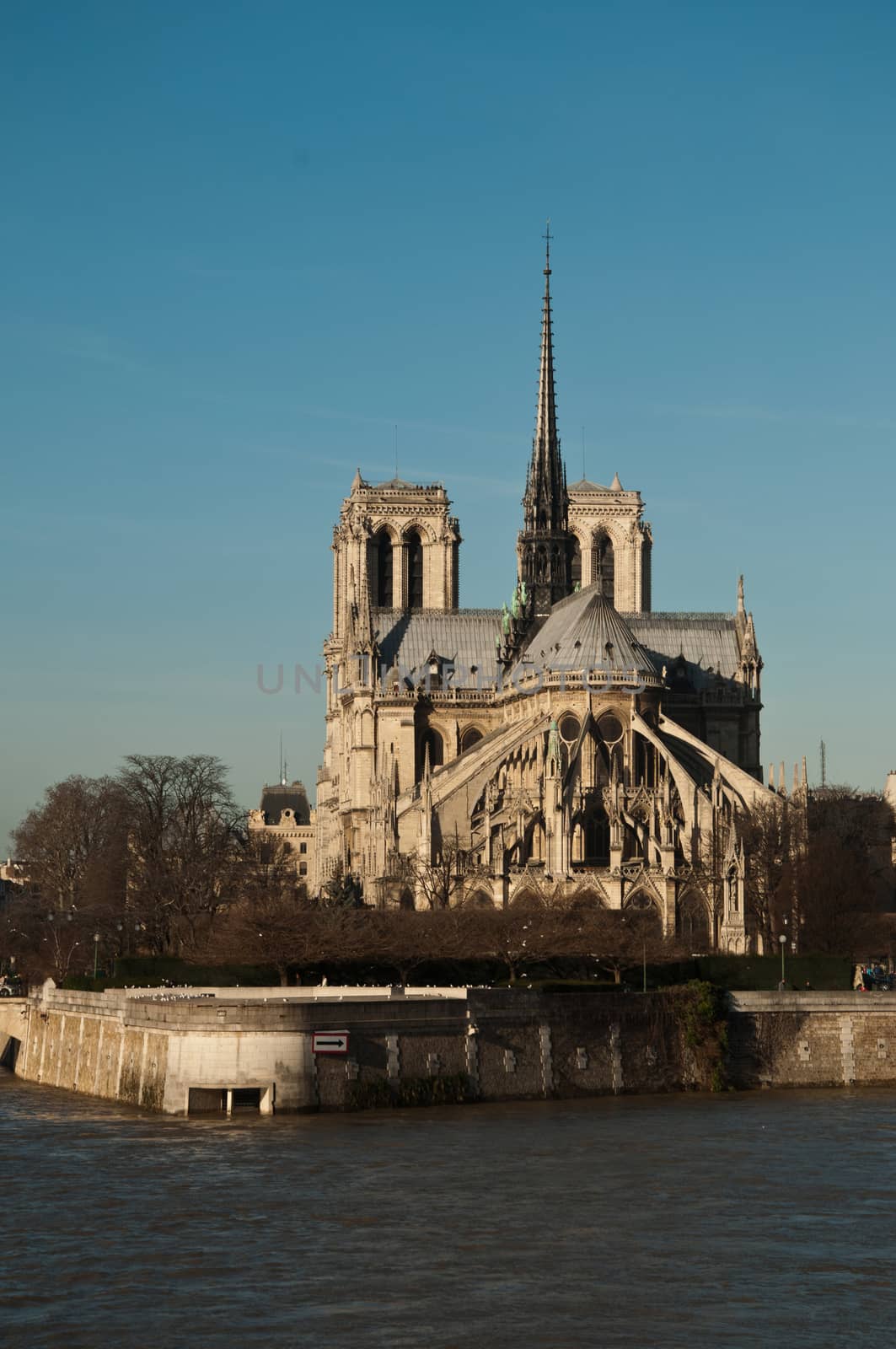 Notre-Dame of Paris cathedral by NeydtStock