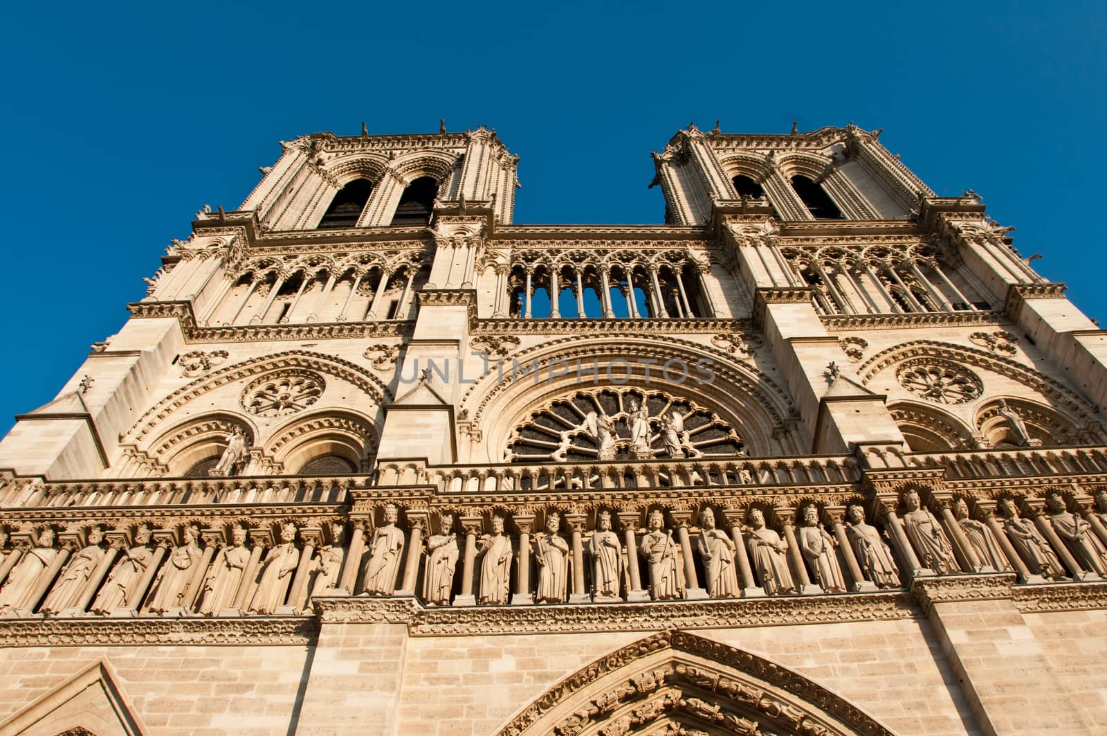 Notre-Dame of Paris cathedral by NeydtStock