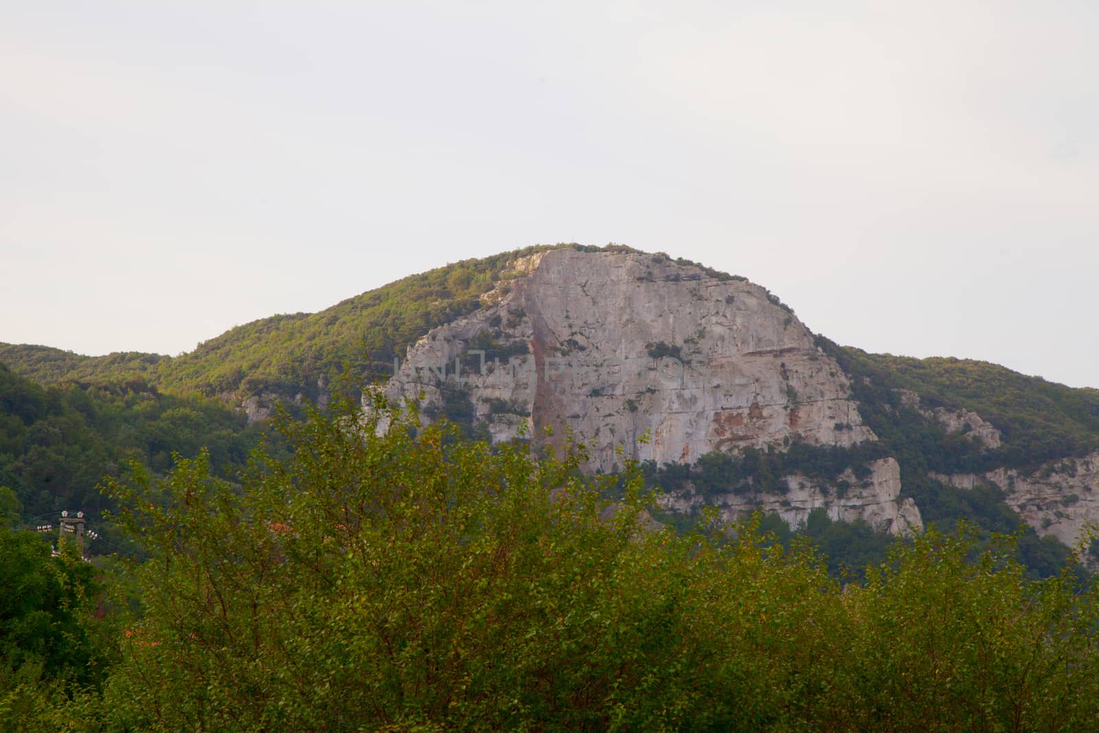 Hill with cliffs and many trees, horizontal image