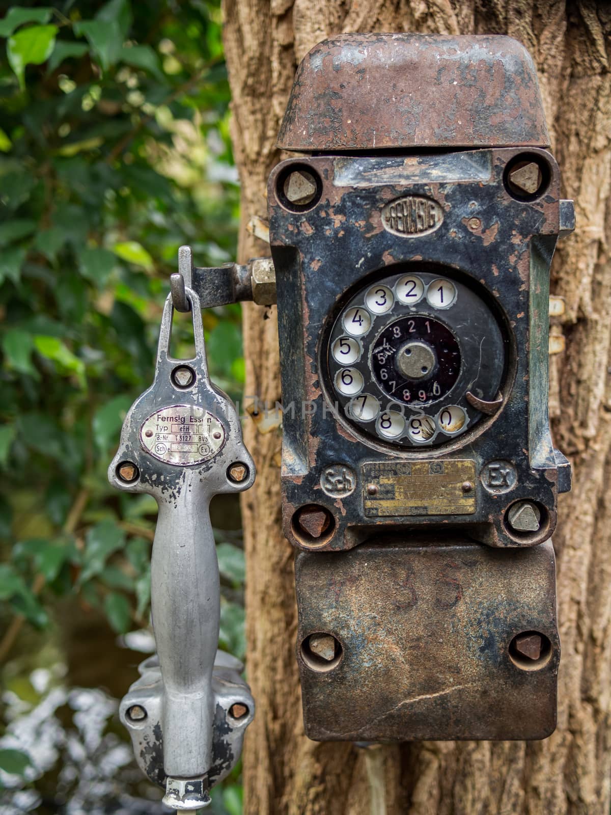 Closeup of an antique telephone hanging on a tree