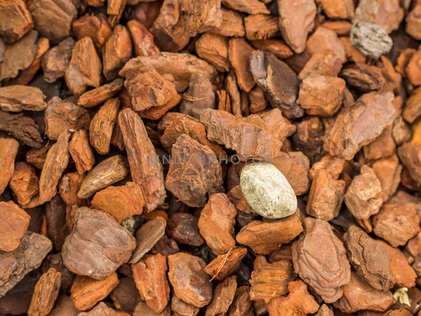 Single white stone lying between wet wood chips in forest