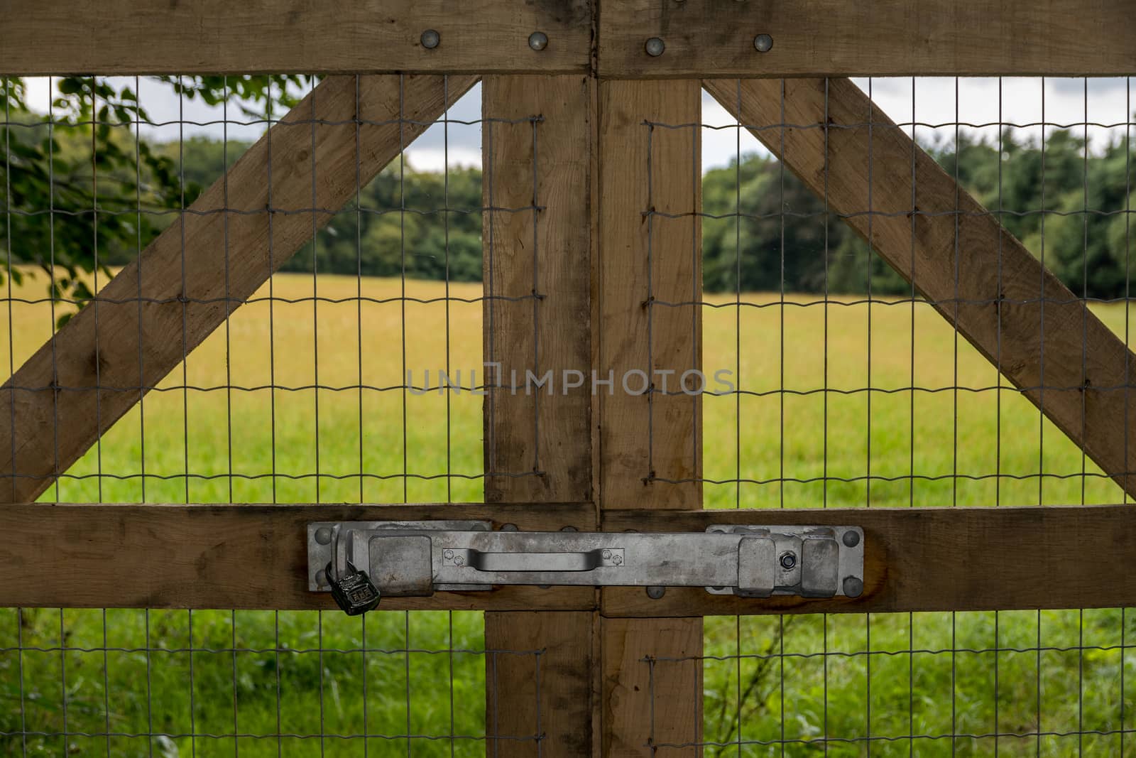Locked wooden fence leading towards a field by the woods