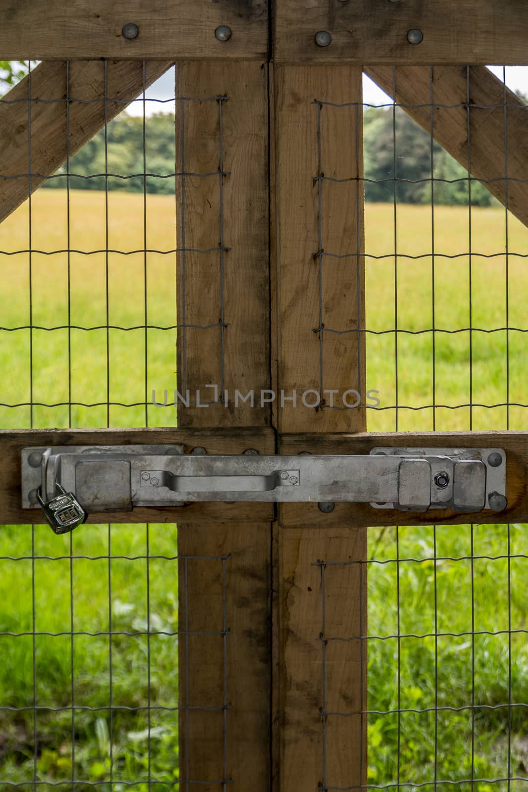 Vertical of locked wooden fence leading towards a field by the woods