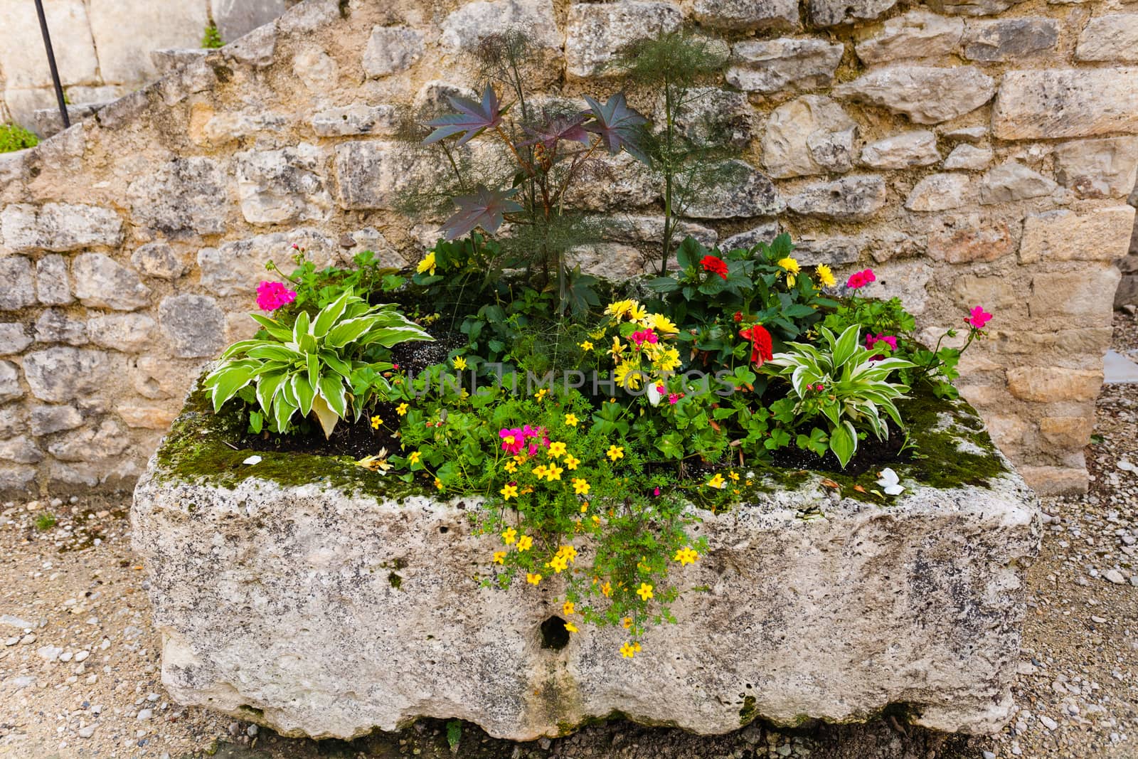 Beautifully composed flower box with colorful plants in Perigueux bolonging to the french region of Dordogne