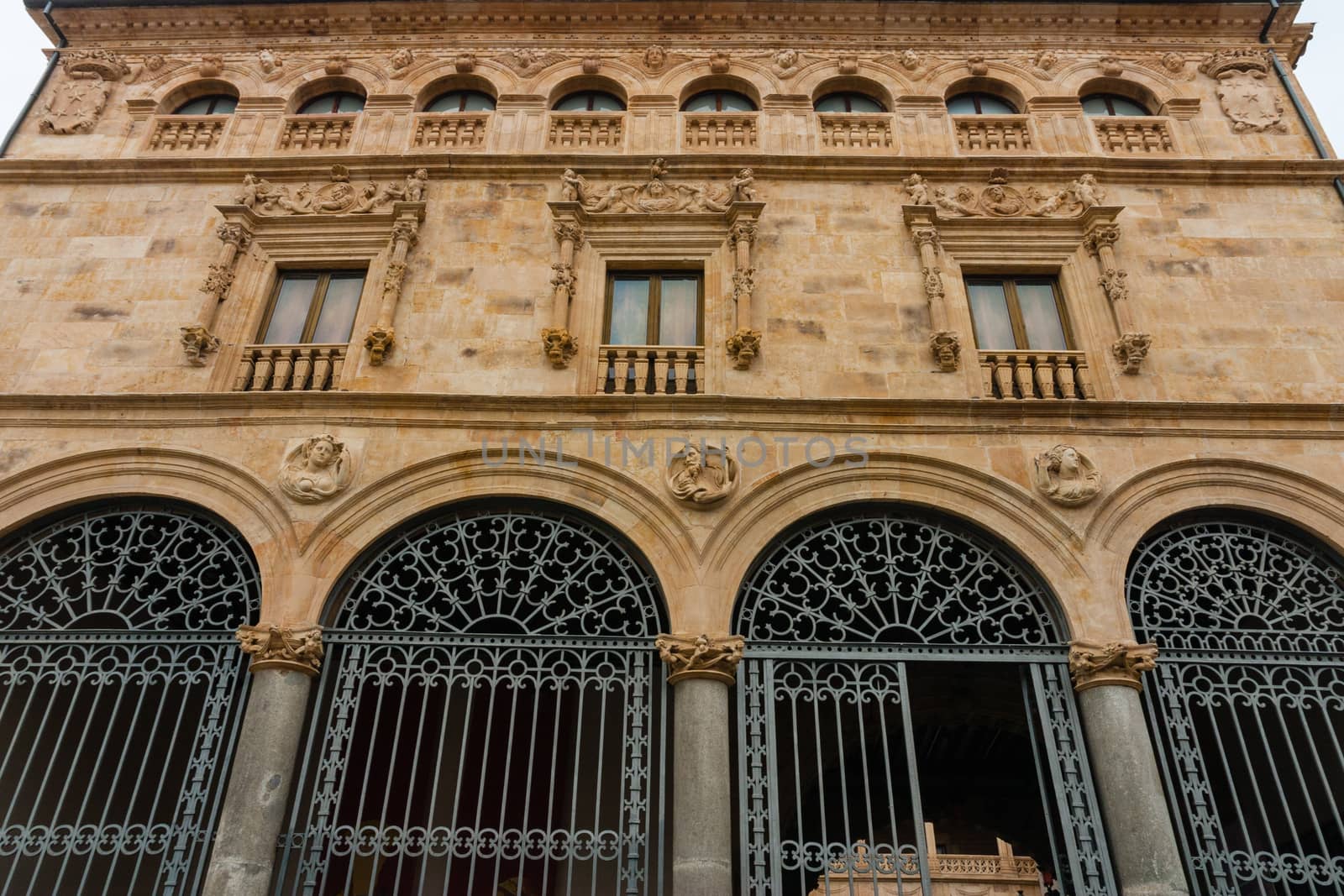 Facade full view of La Salina Palace also known as Fonseca��s Palace in Salamanca Spain nowadays it is the seat of Salamanca��s Diputacion