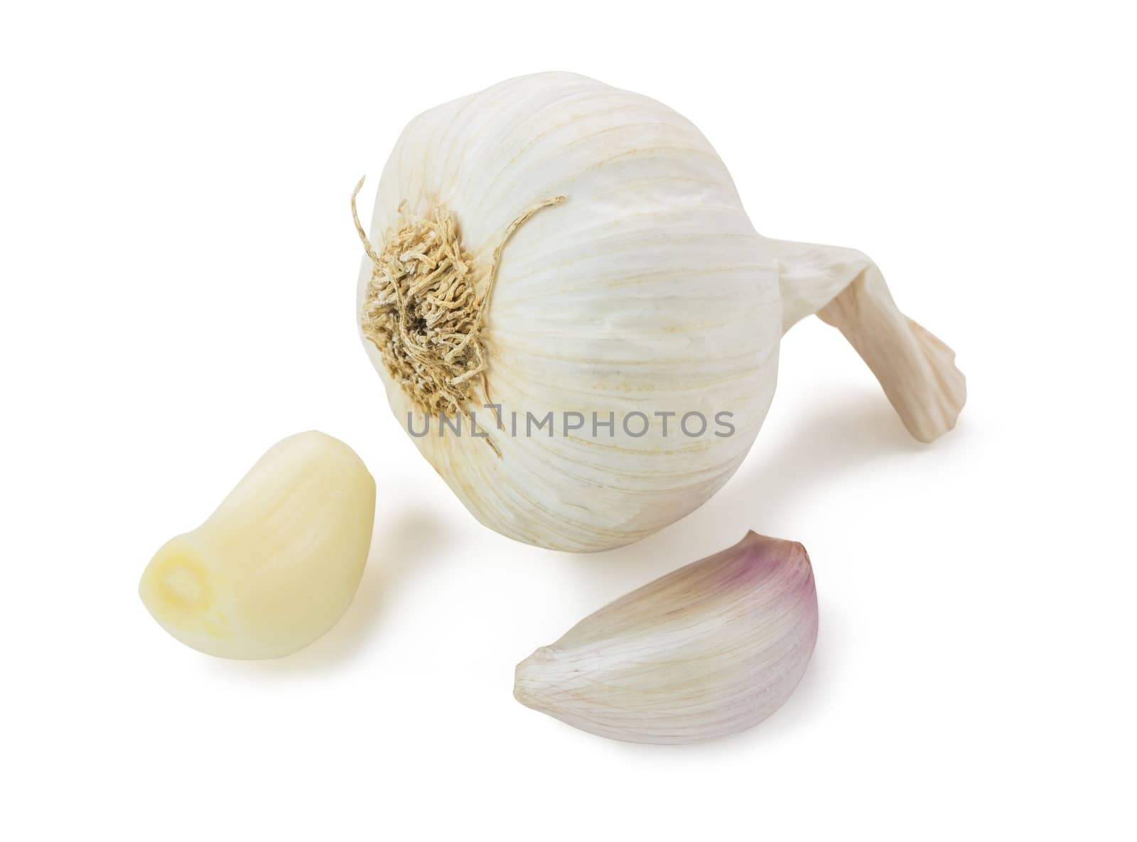 Closeup picture of tasty garlic with white background