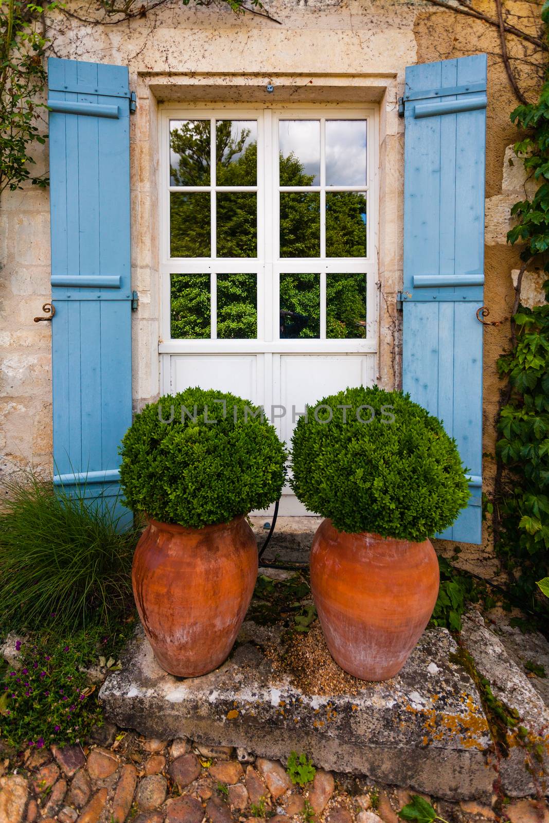 Beautiful gardening composition with two big pots with bojs inside next to a nice door in the countryside of the french region of Dordogne