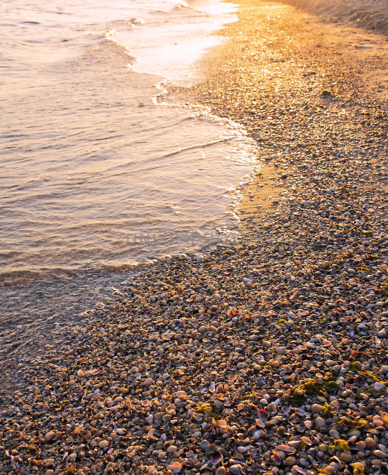 The surf at sunset in the summer in the resort village of Bolshevik Ukraine in Europe