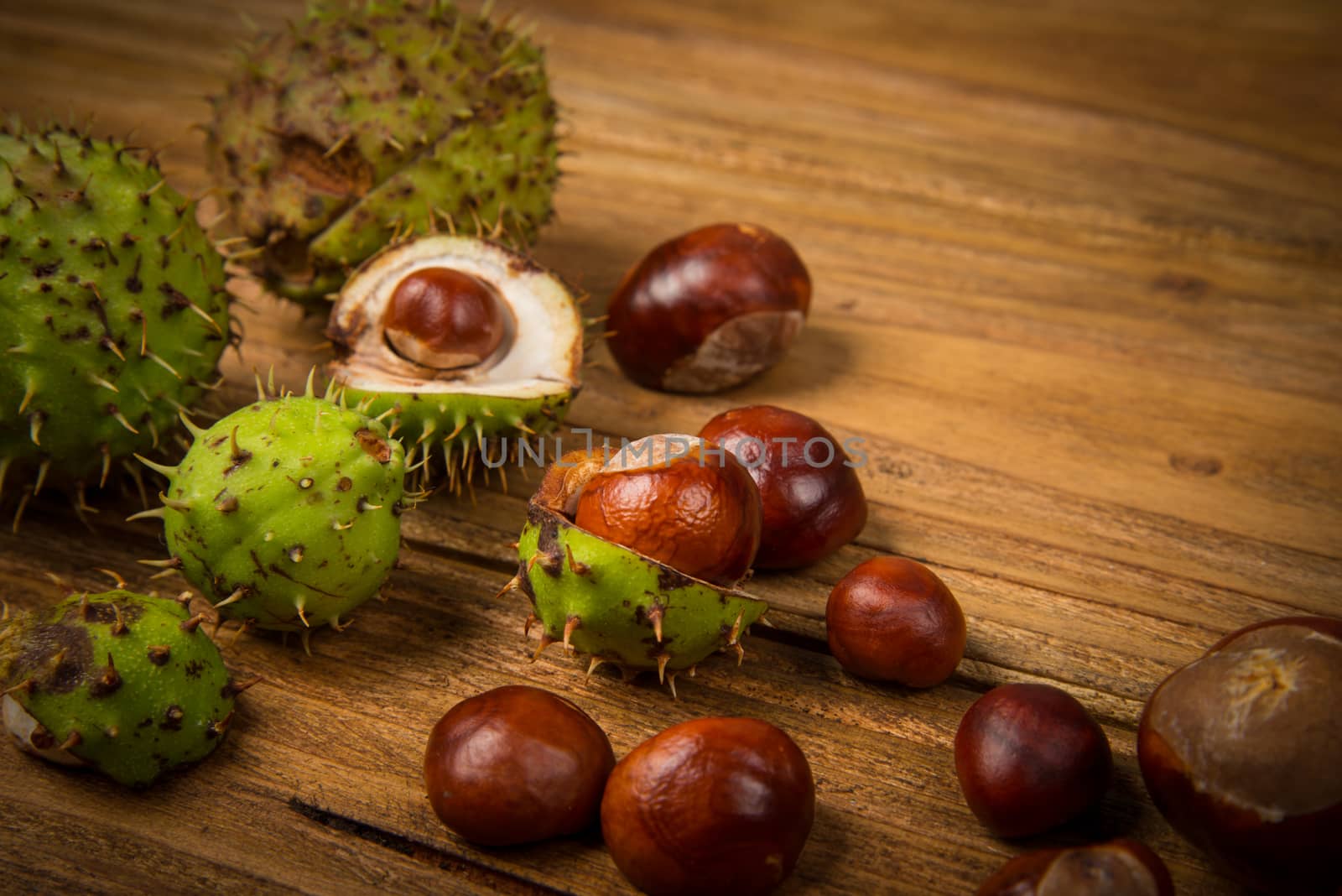Autumn fruits of chestnut and acorn on wooden retro table in fall colours