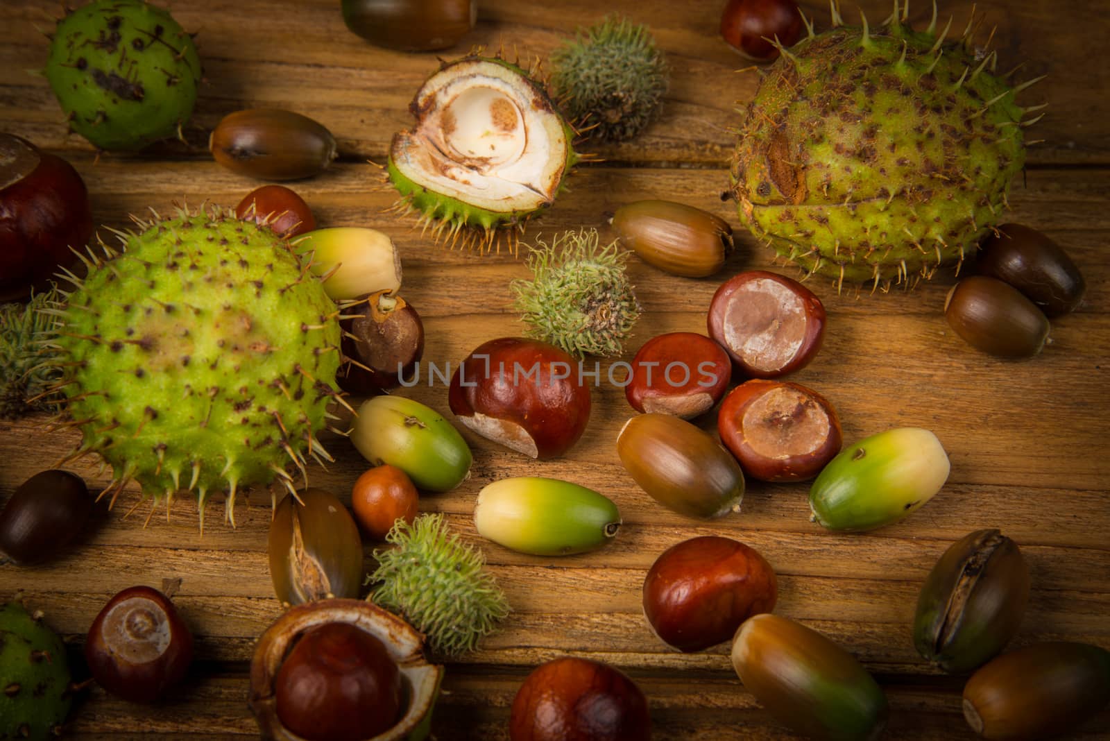 Autumn fruits of chestnut and acorn on wooden retro table in fall colours