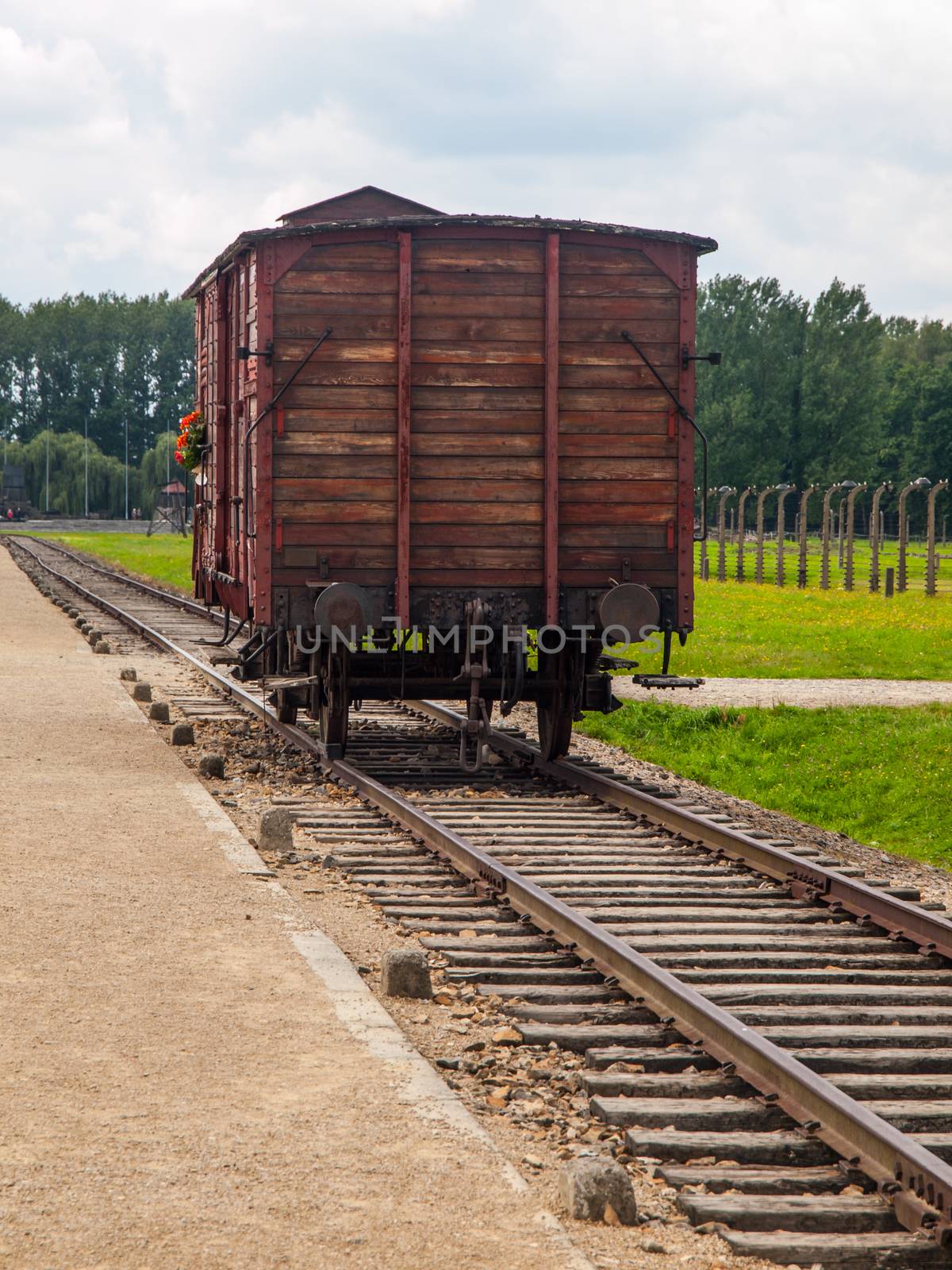Transport wagon in concentration camp by pyty