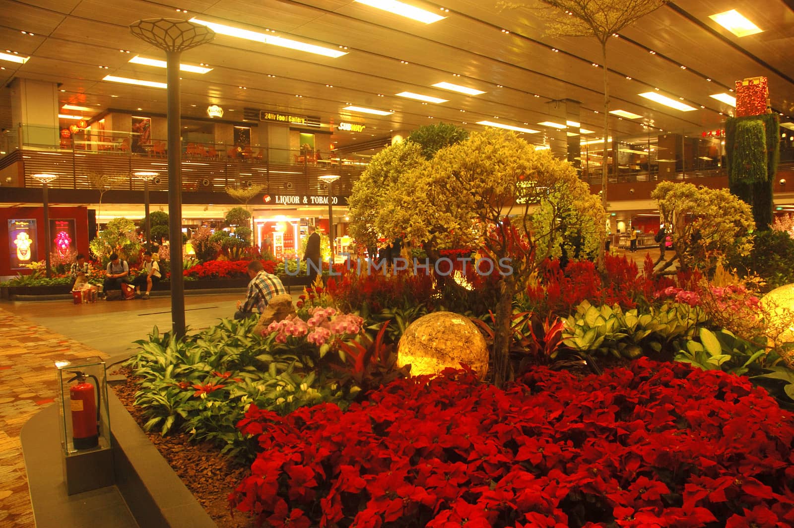 Singapore, Singapore - January 15, 2014: Ornamental garden at Terminal 1 Changi International Airport, Singapore.