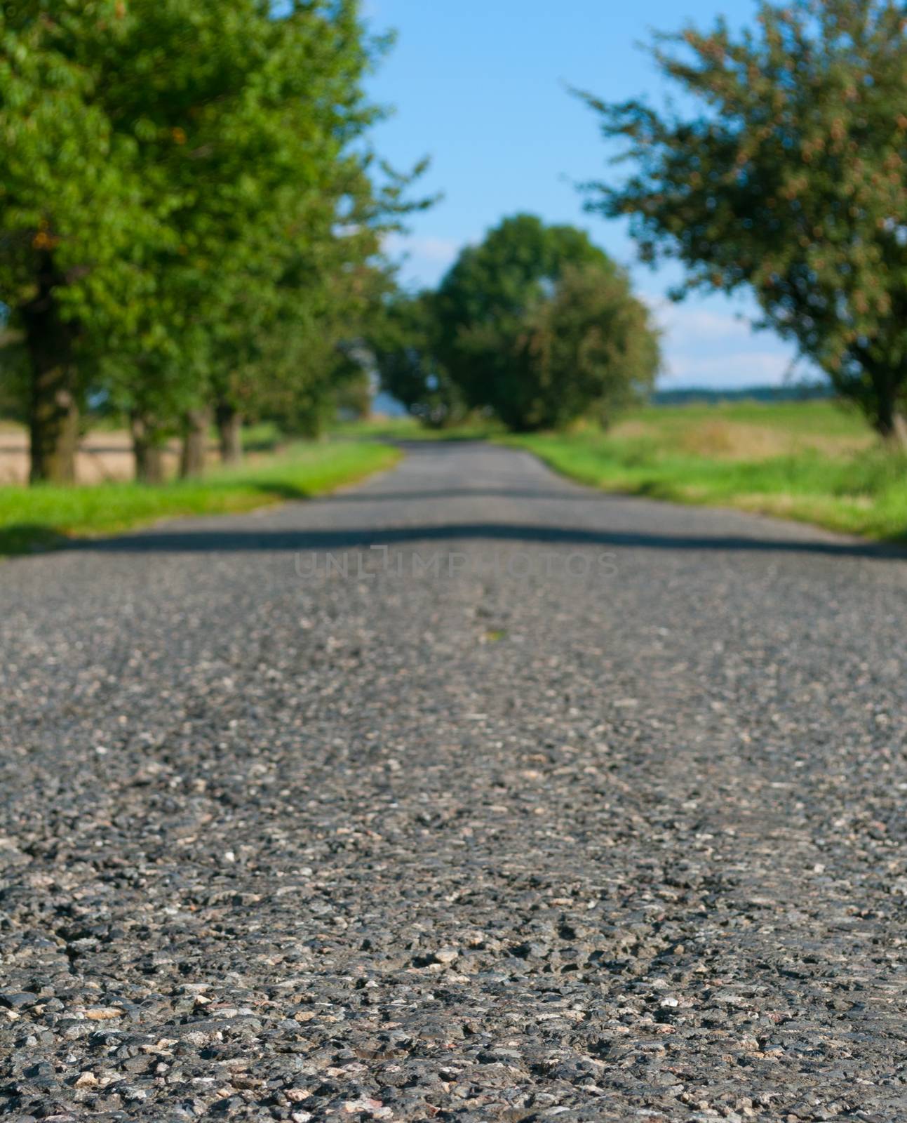 Country Asphalt Road - Shallow Depth of Filed. Focus on Front Part of Road.