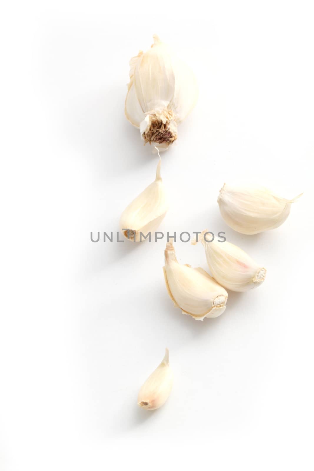 garlic on a white background