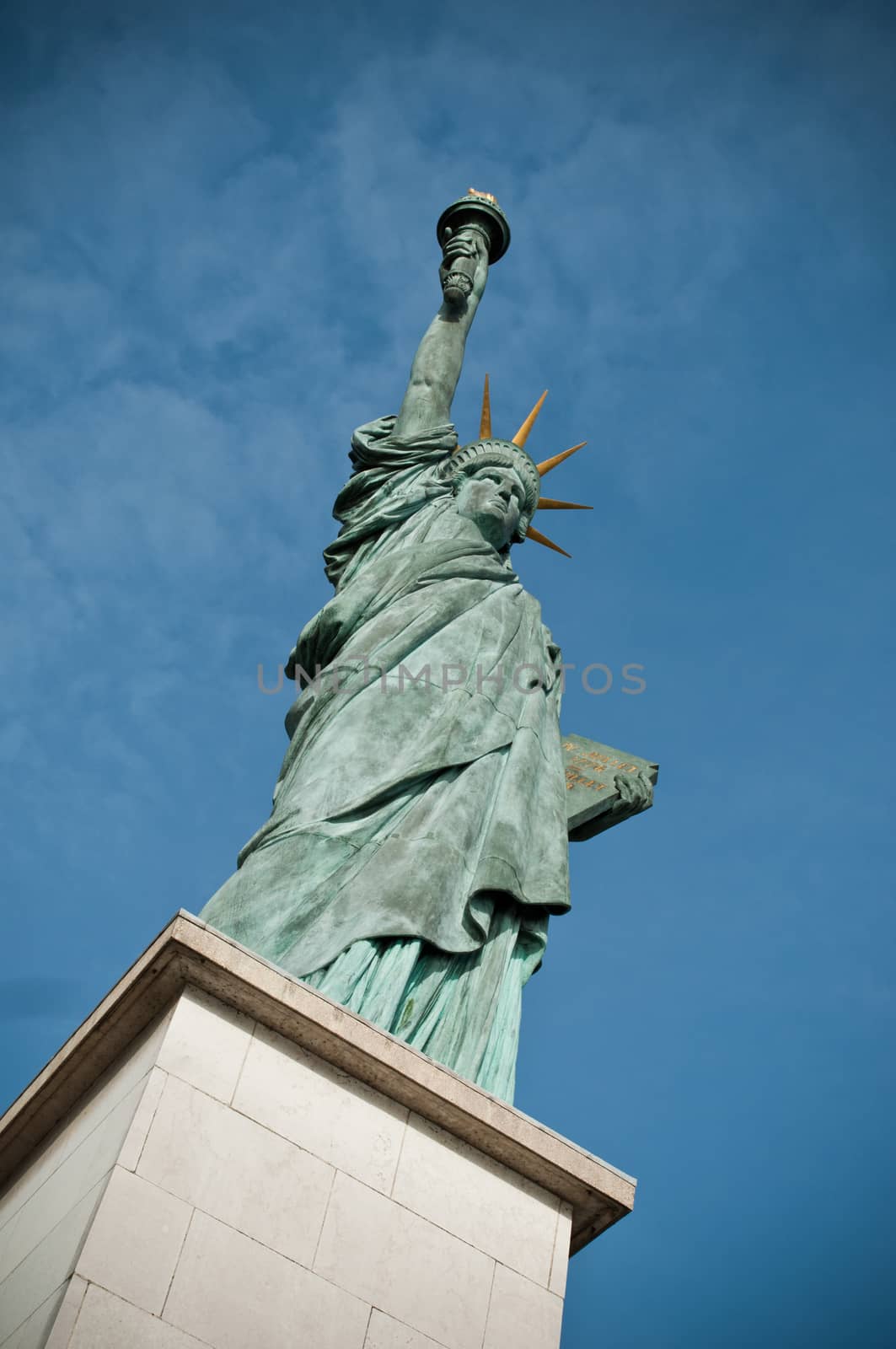 Statue of Liberty in Paris by NeydtStock