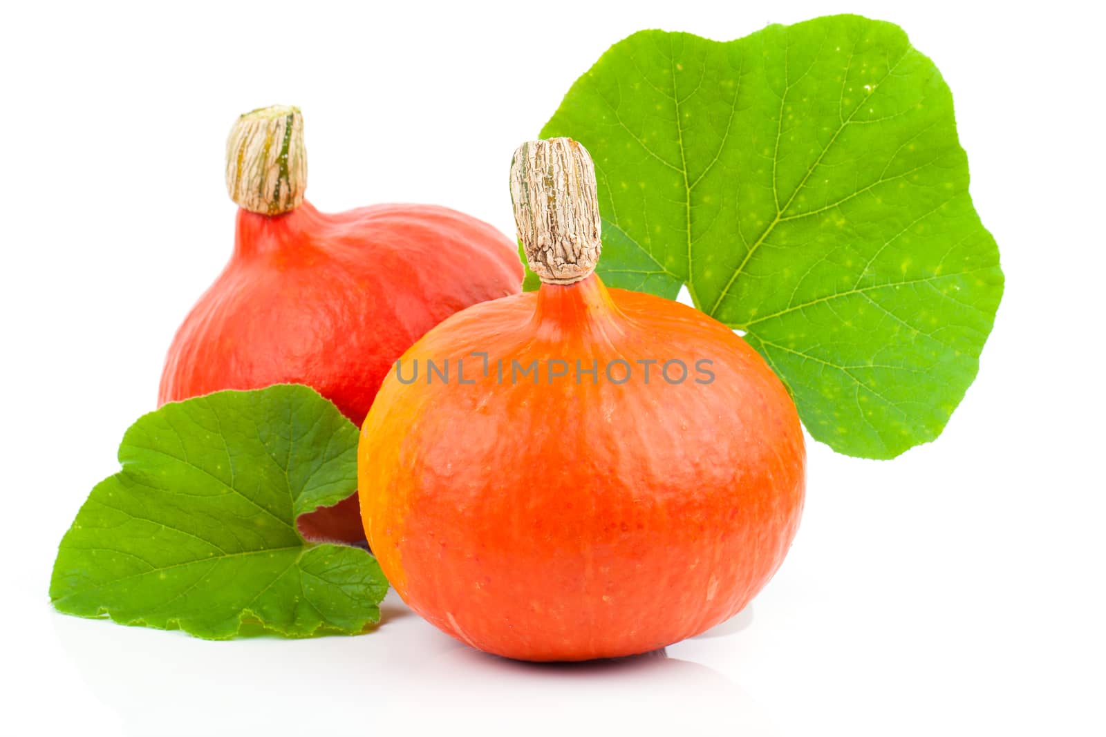 yellow pumpkins vegetables with green leaves isolated on white background