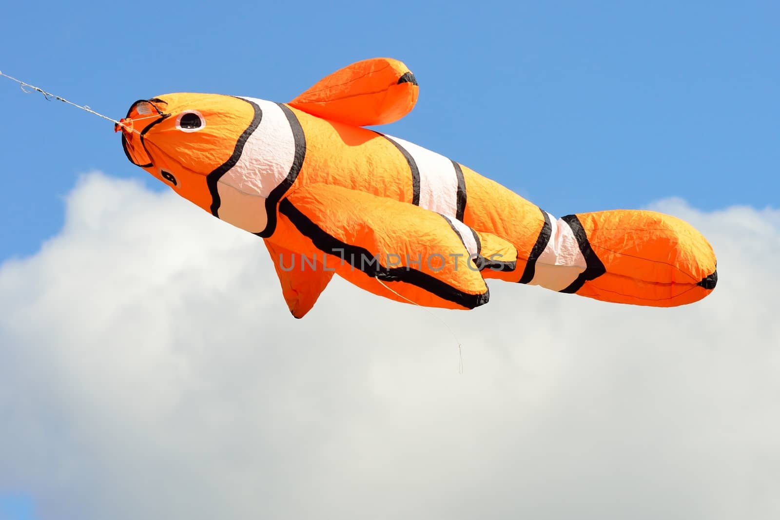 Orange goldfish kite