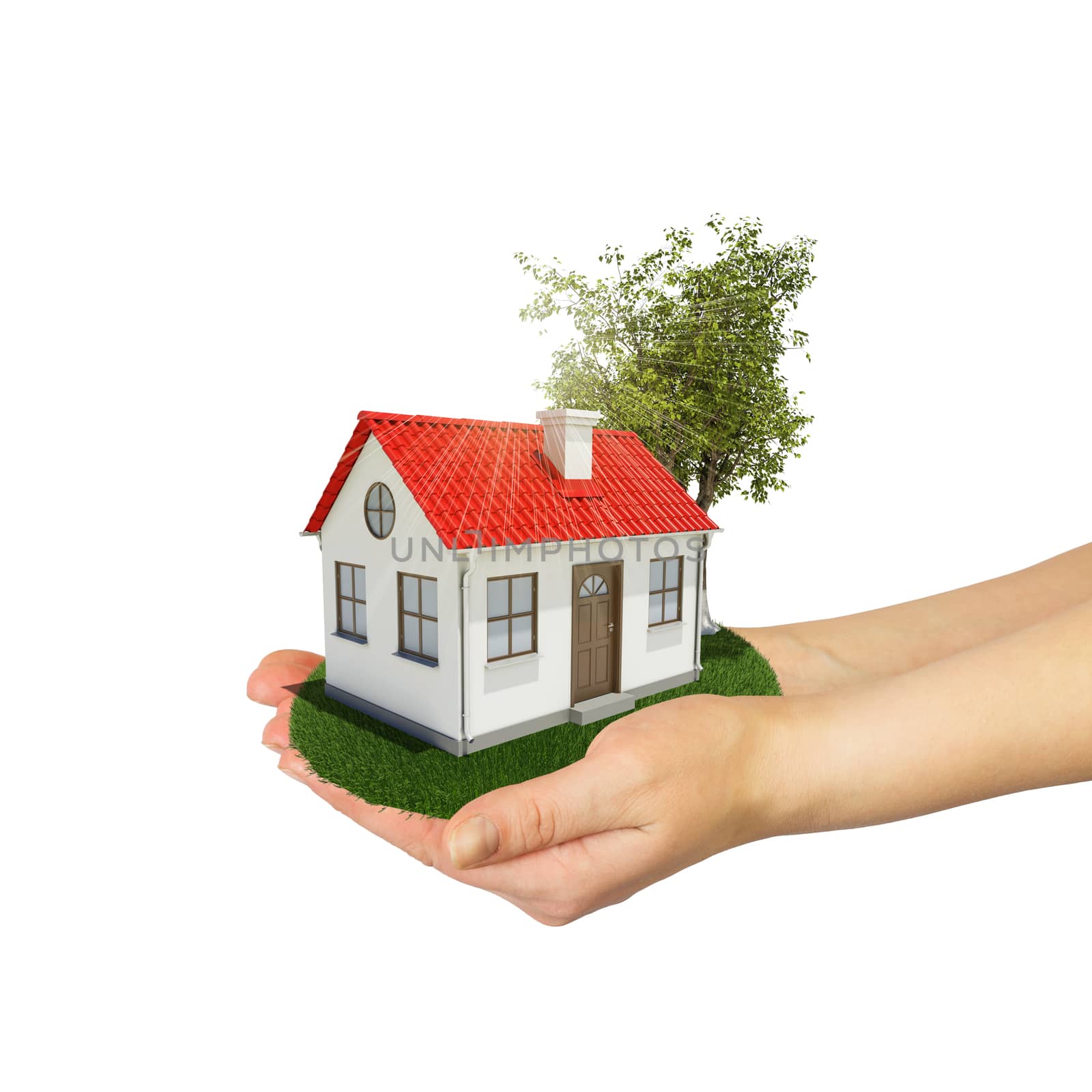 Human hands holding small house with tree and grass. Real estate concept