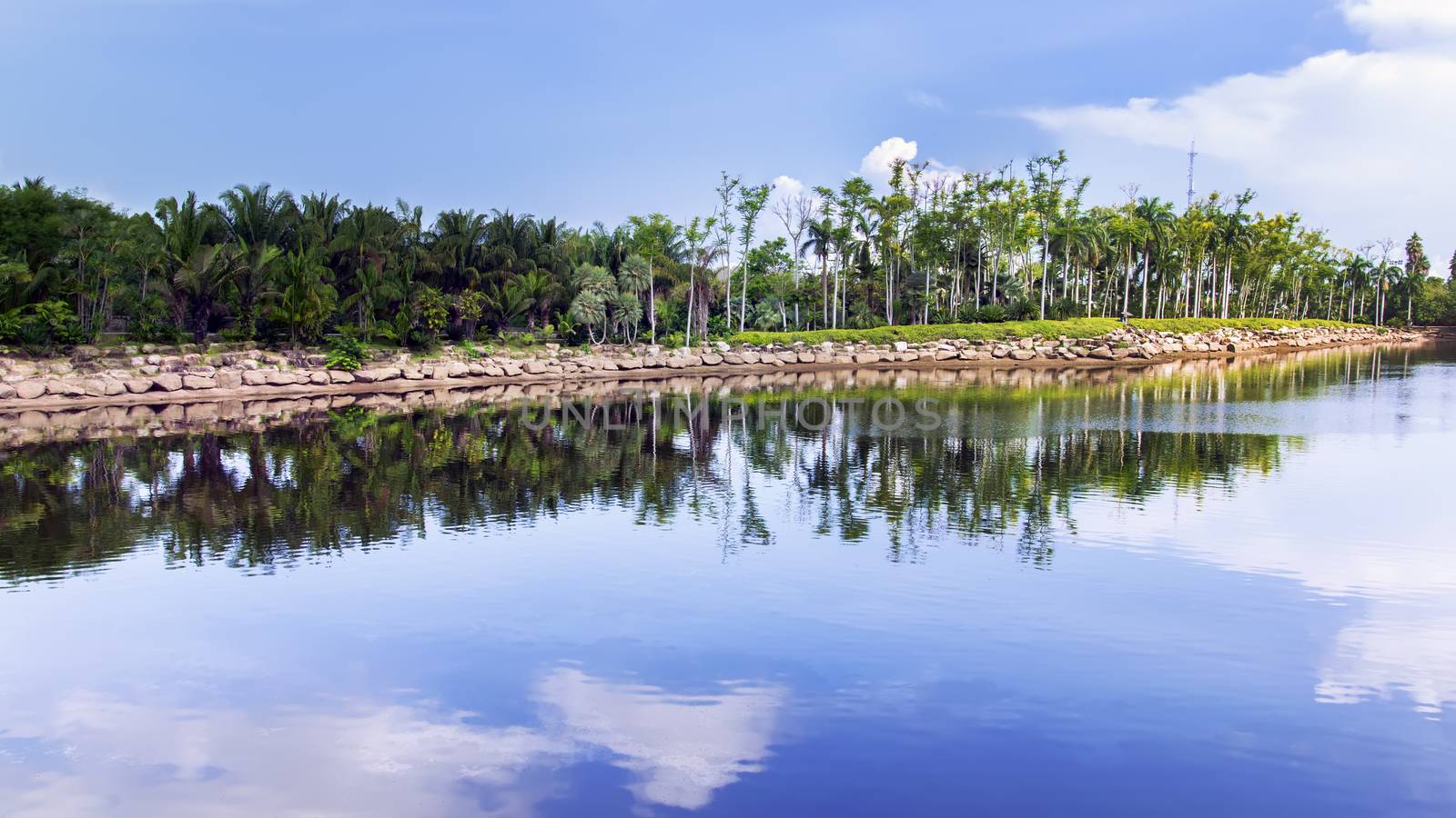 Pond in Nong Nooch Garden. Chon Buri, Thailand 16x9