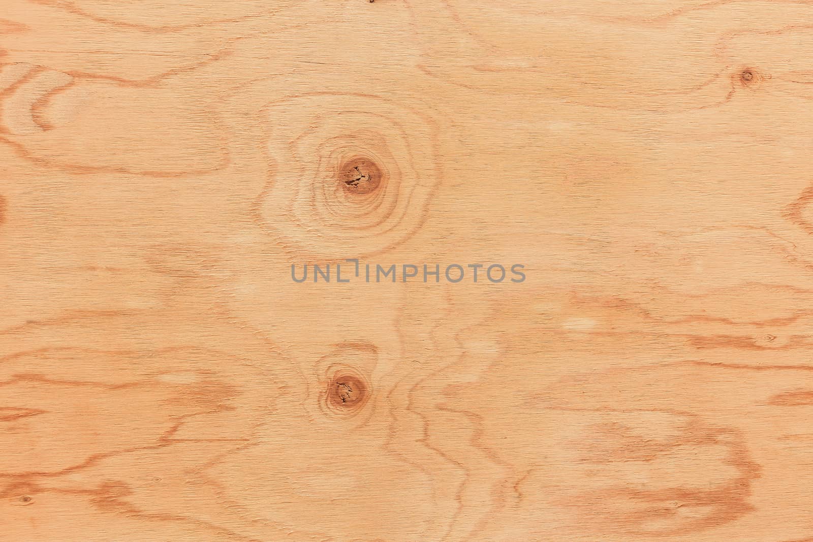 wood texture background