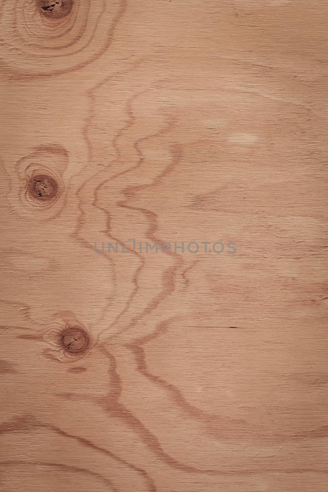 wood texture background