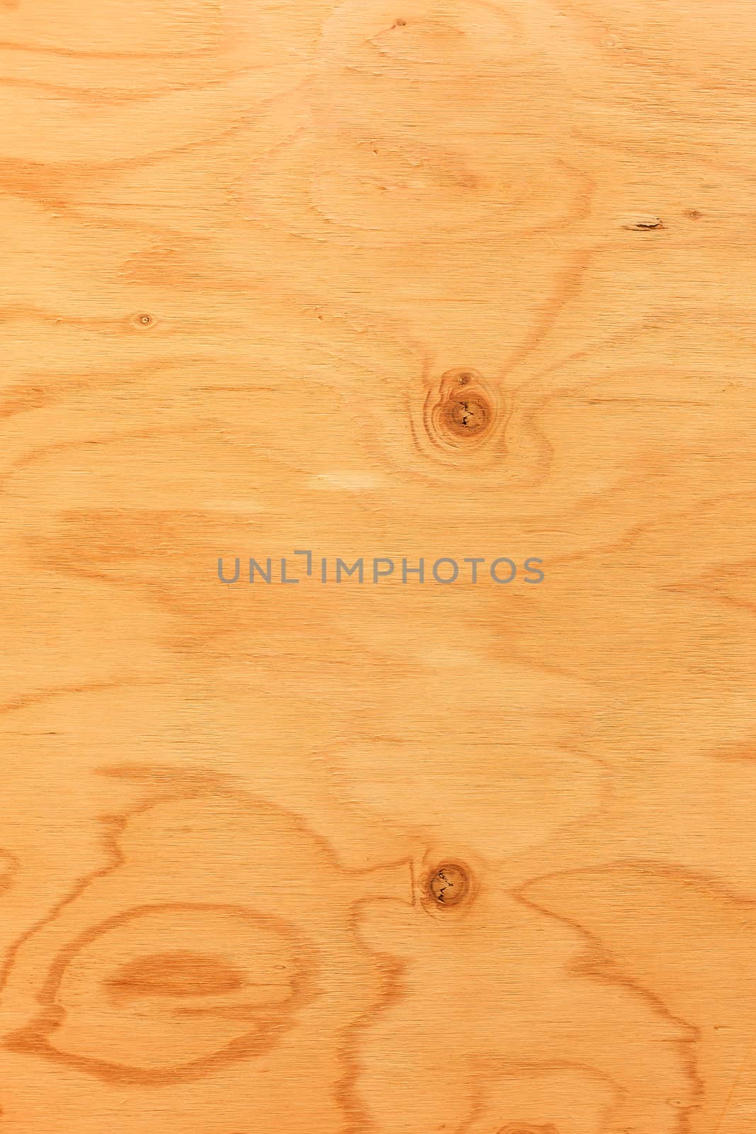 wood texture background