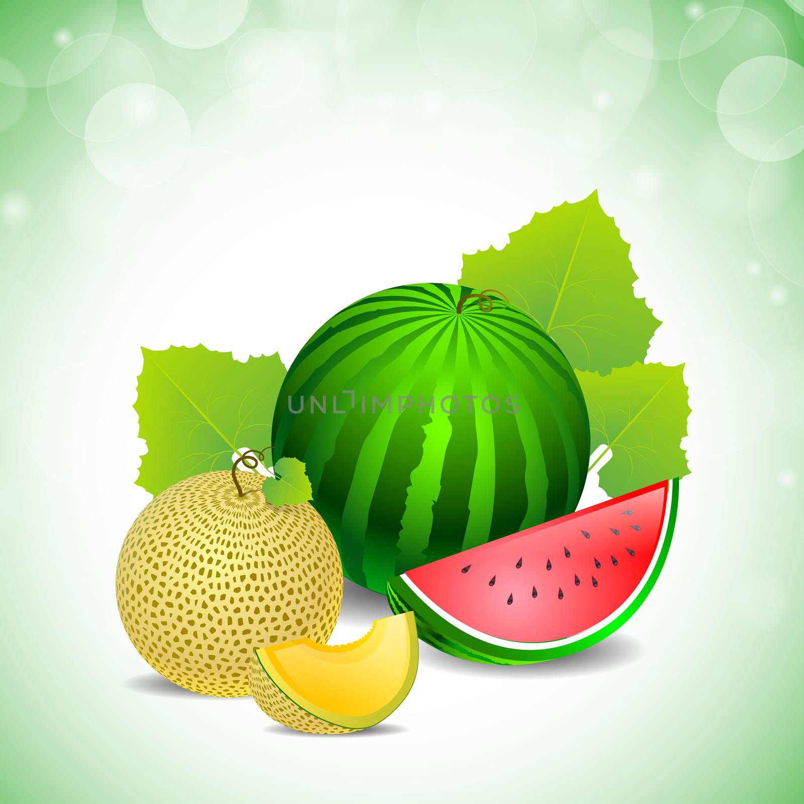 melon and watermelon by moleks