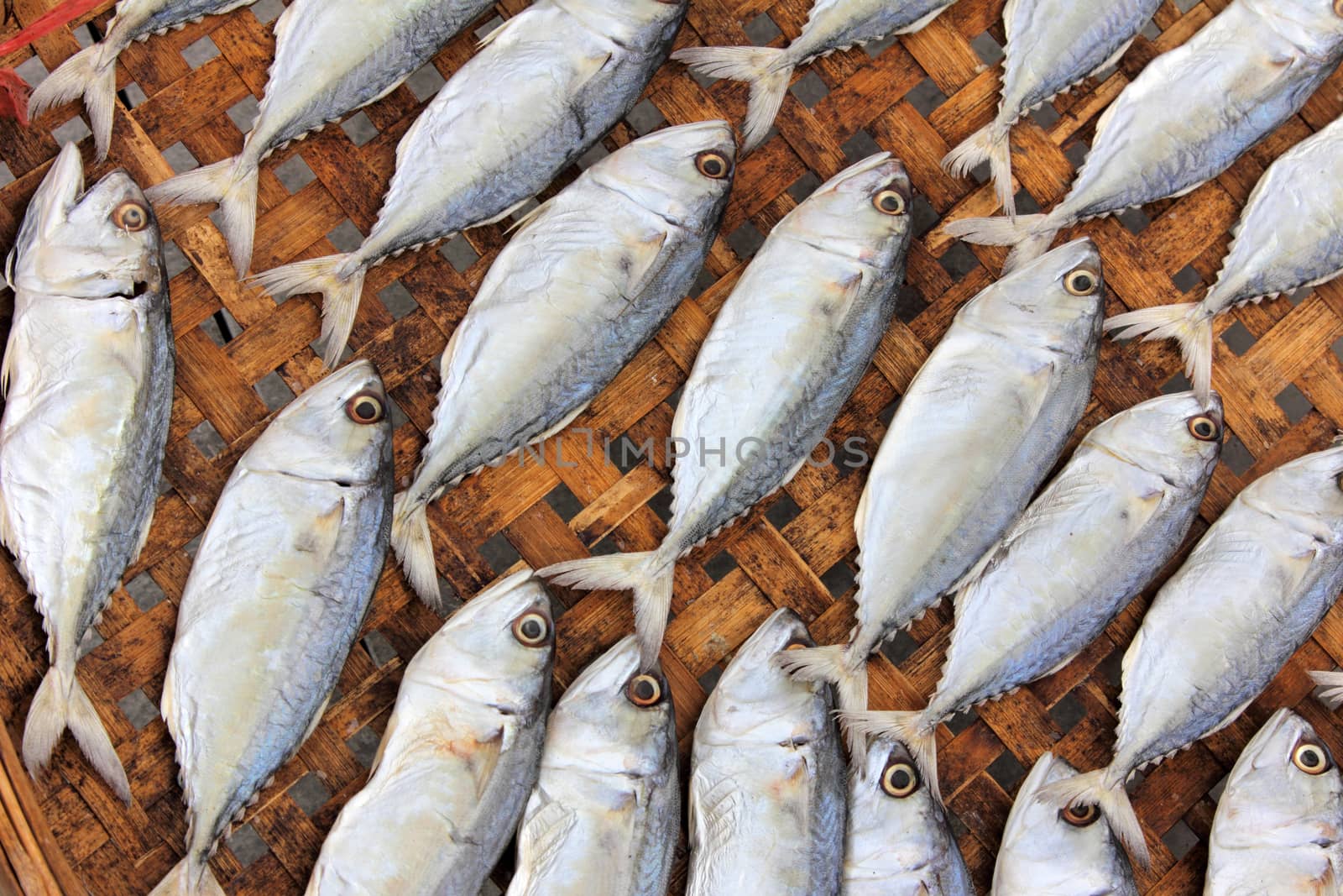 Close-up dried fish under the sun, food preservation