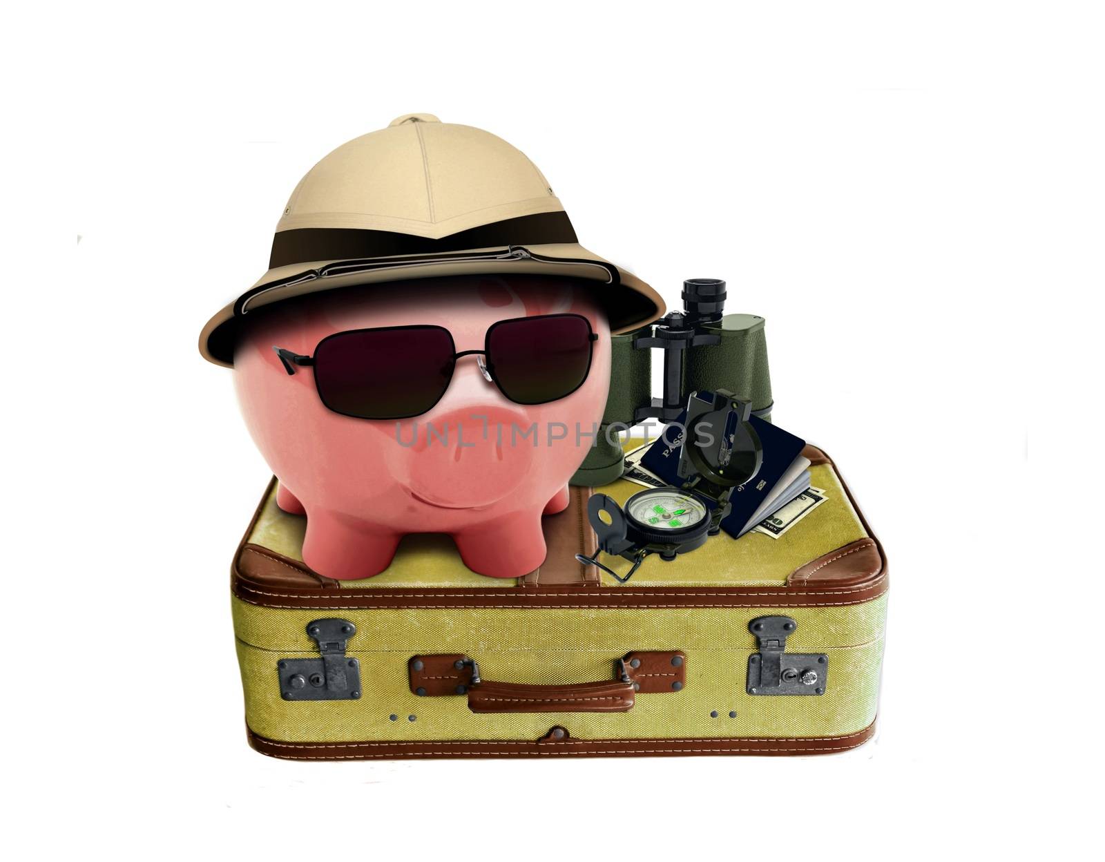 Piggy on Holiday by razihusin