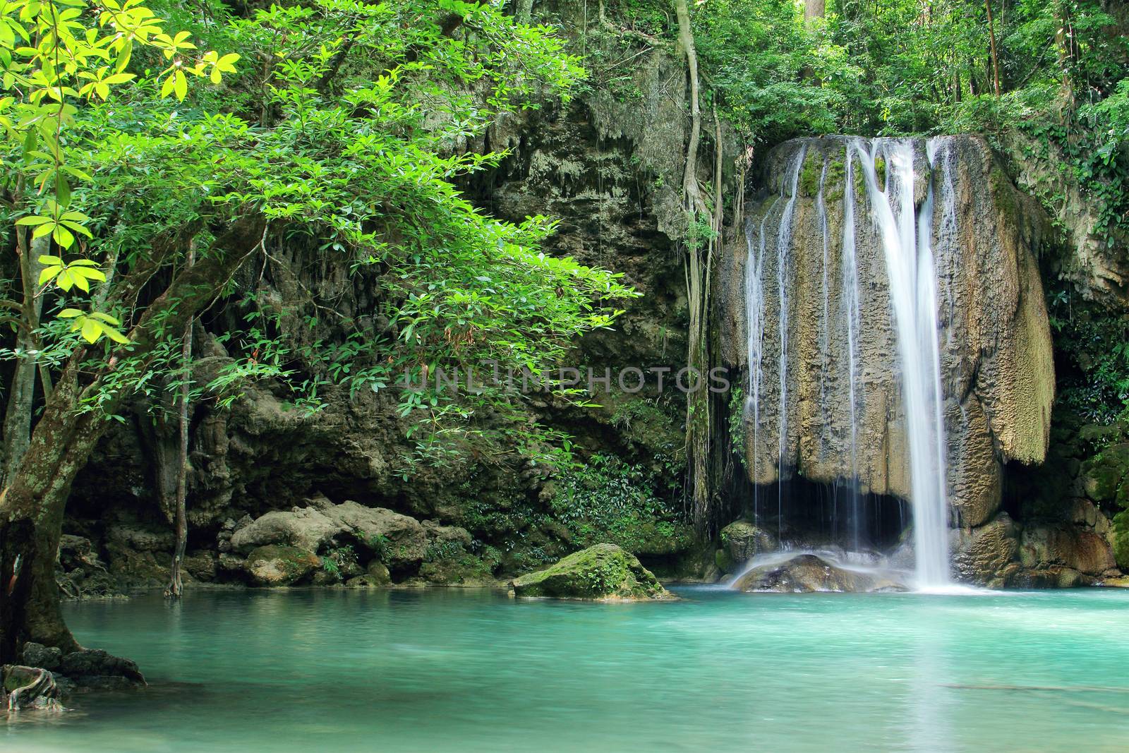 Deep forest waterfall