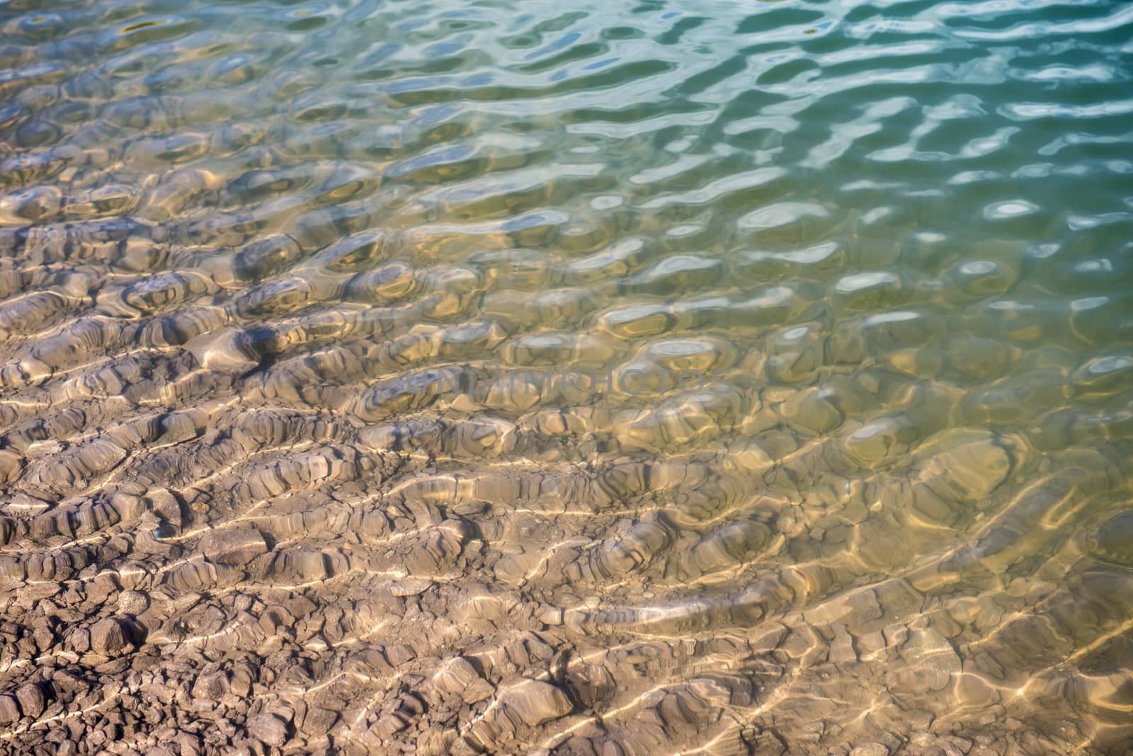 transparent and pure water of the Colbricon lake, Dolomites - Italy