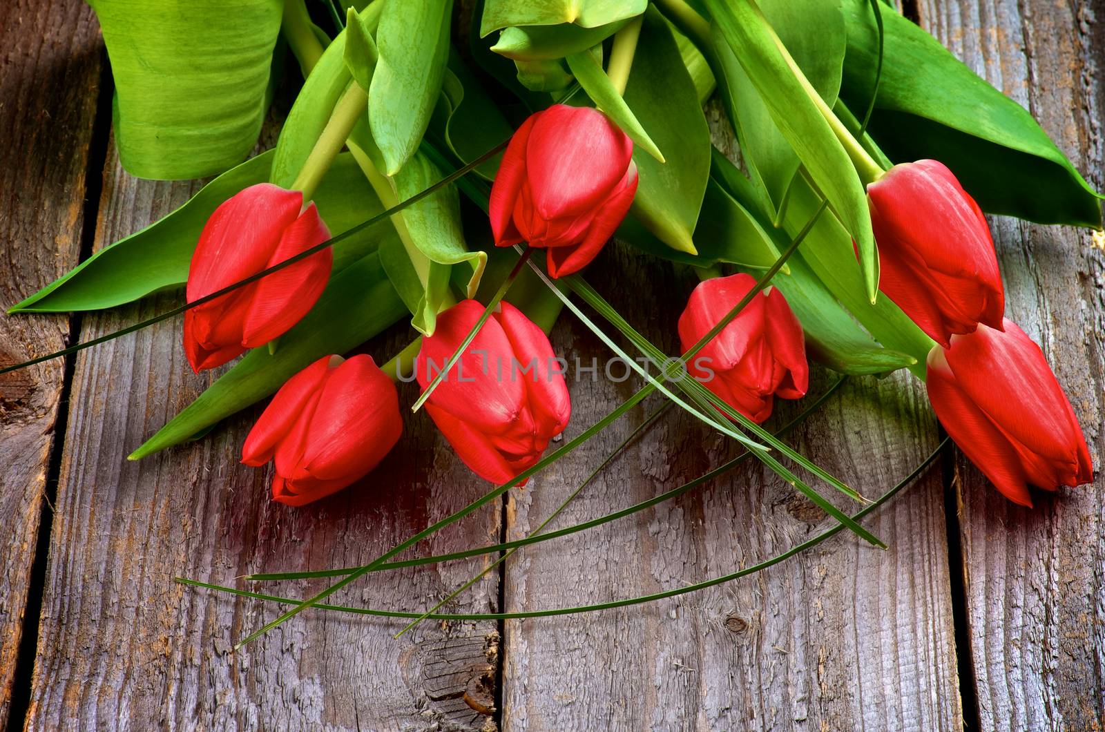 Heap of Seven Beautiful Spring Red Tulips with Green Grass isolated on Rustic Wooden background